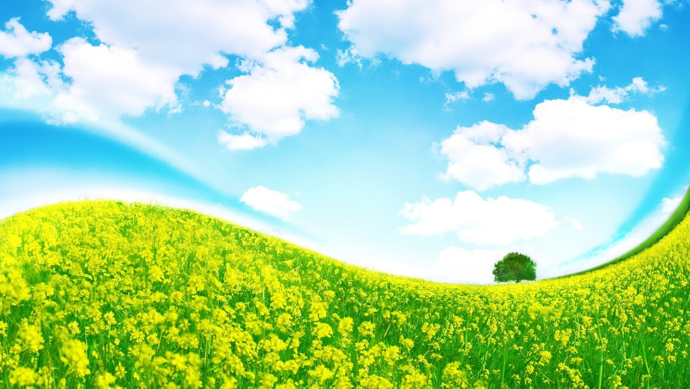 Free download wallpaper Landscape, Fantasy, Flower, Tree, Field, Cloud on your PC desktop