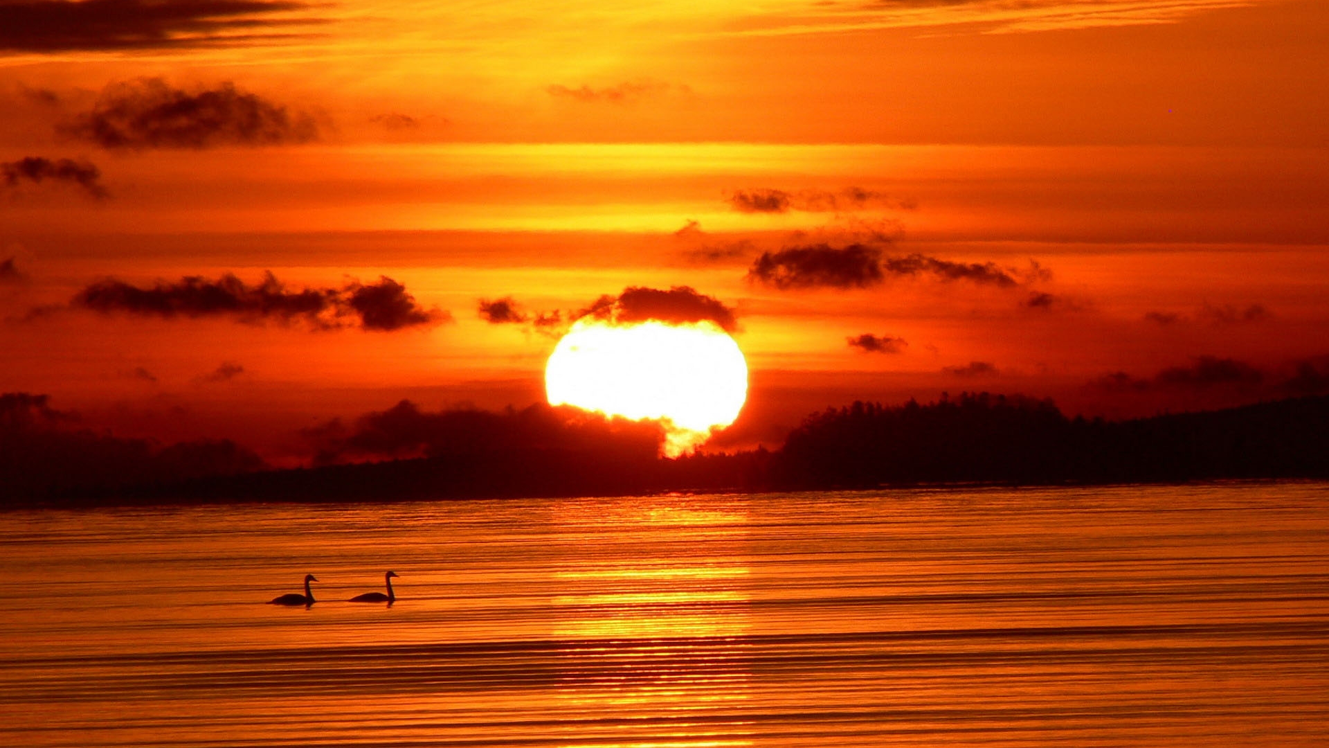 Laden Sie das Sonnenuntergang, Erde/natur-Bild kostenlos auf Ihren PC-Desktop herunter