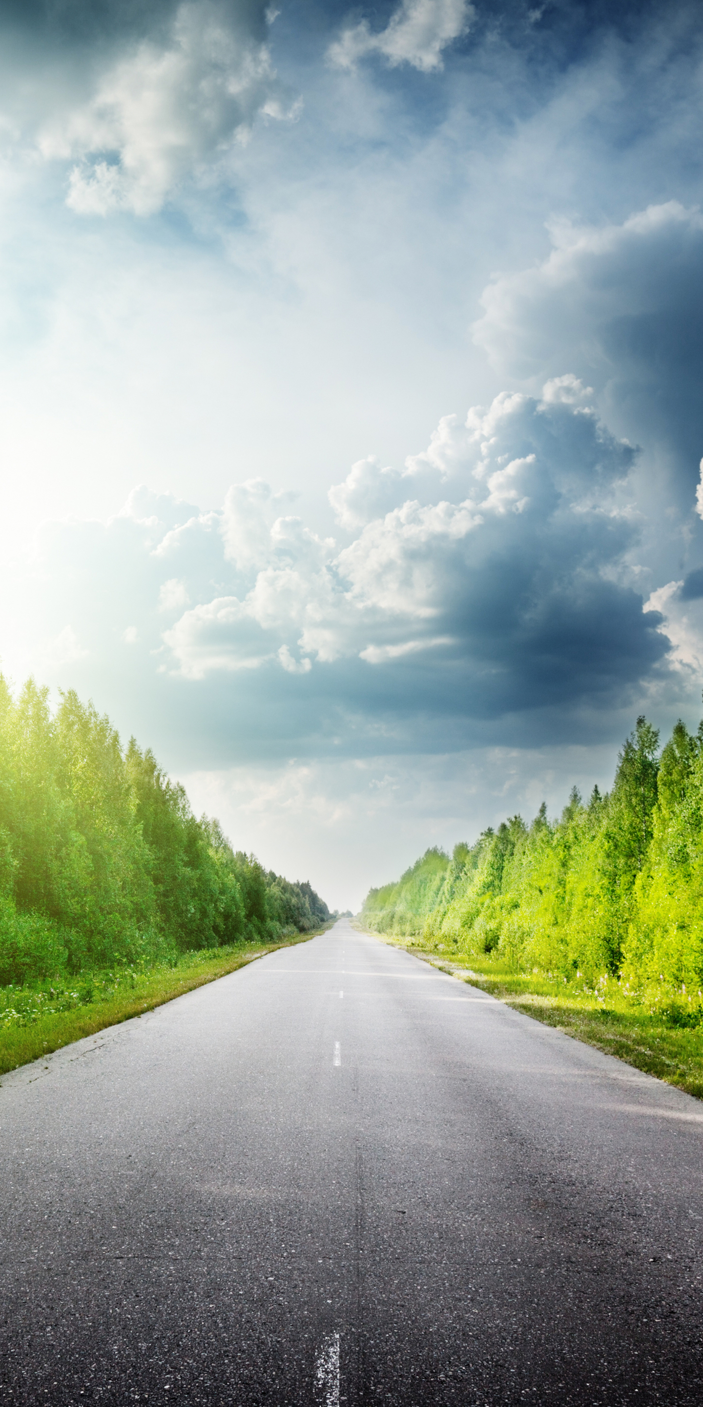 Téléchargez des papiers peints mobile Route, Forêt, Construction Humaine gratuitement.