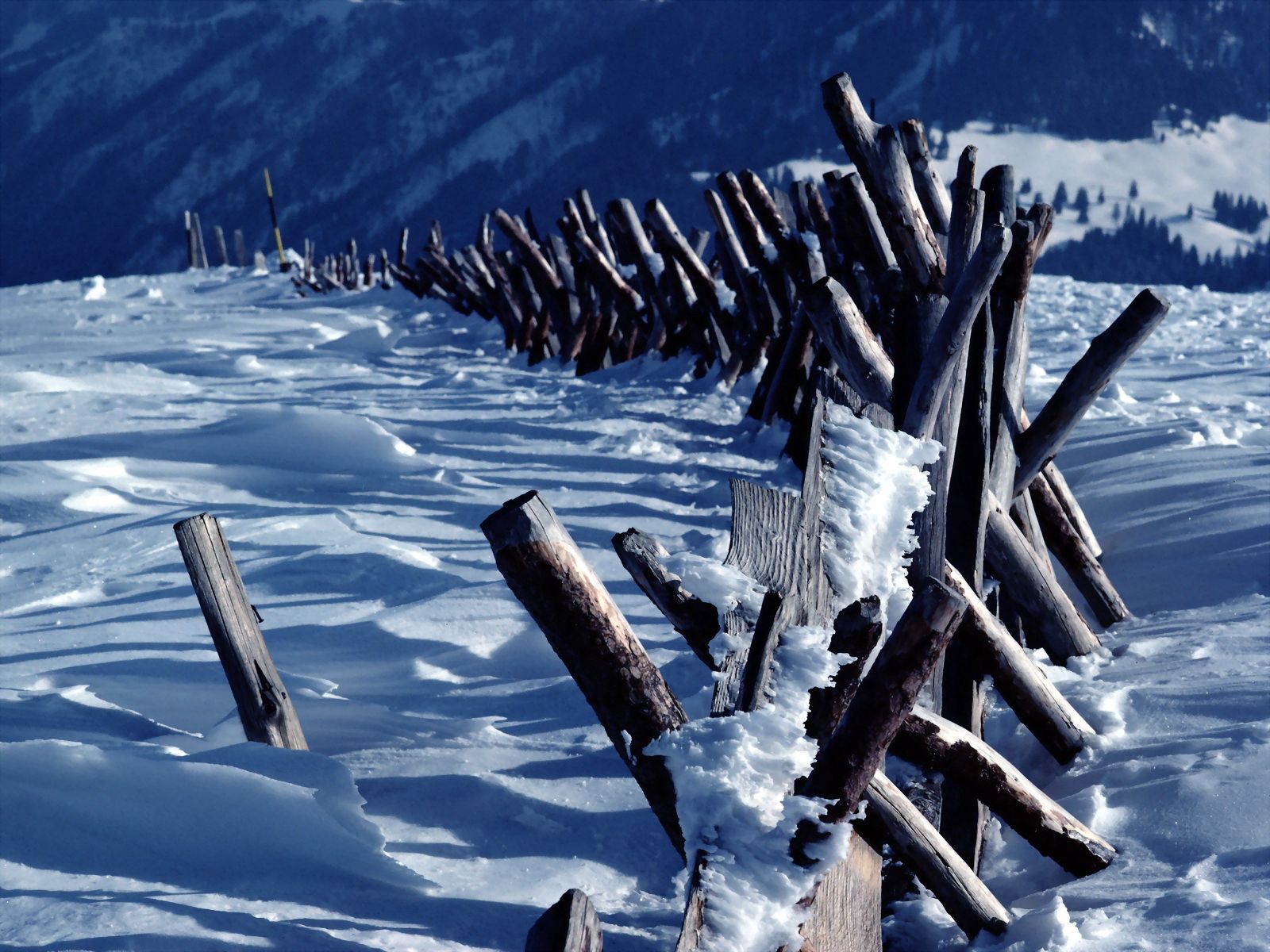 nature, mountains, snow, fence, hedge, logs