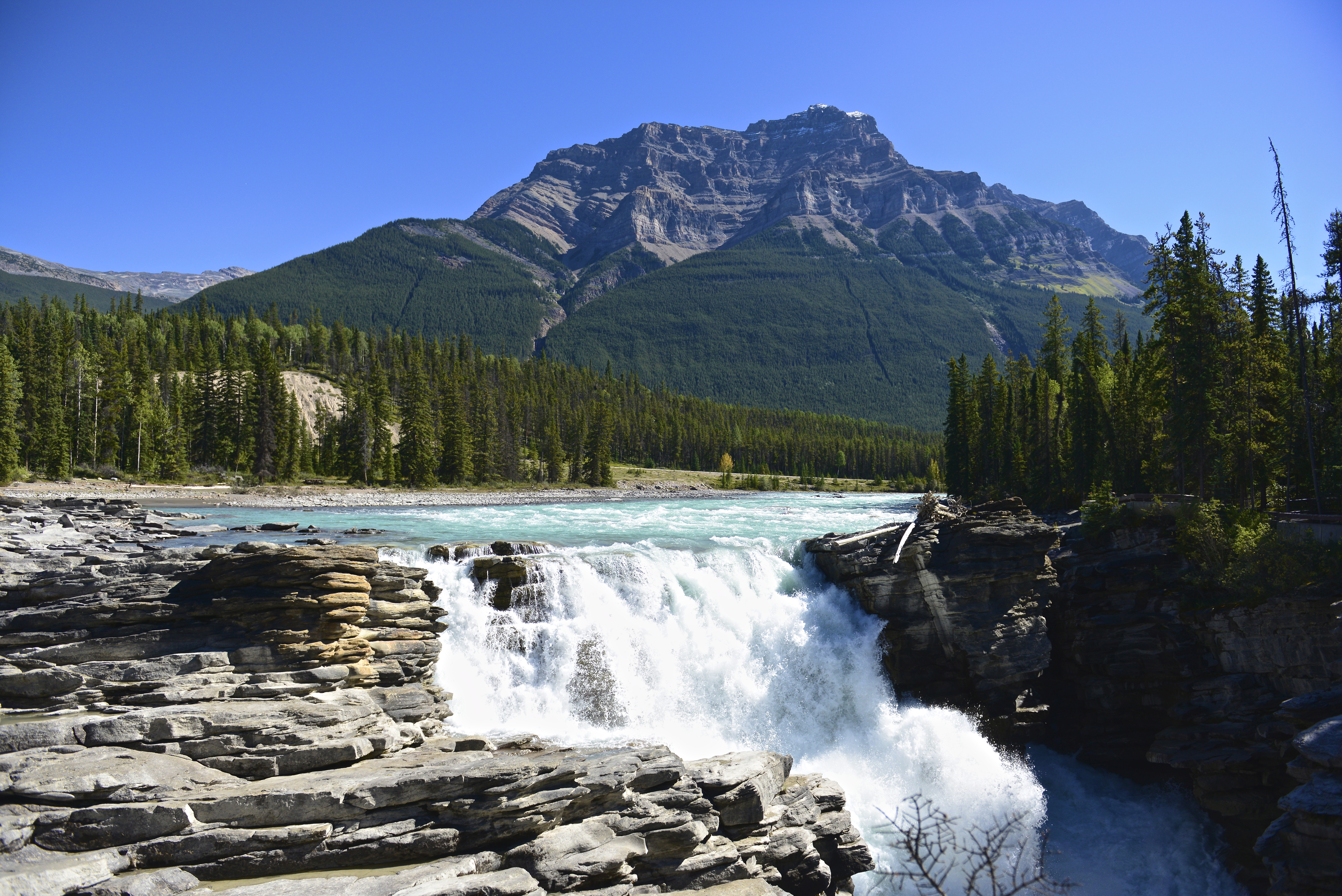 forest, earth, athabasca falls, canada, jasper national park, mountain, nature, river, waterfall, waterfalls