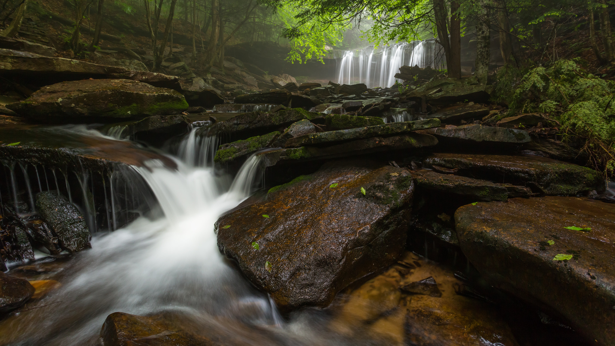 Handy-Wallpaper Wasserfälle, Wasserfall, Wald, Strom, Erde/natur kostenlos herunterladen.