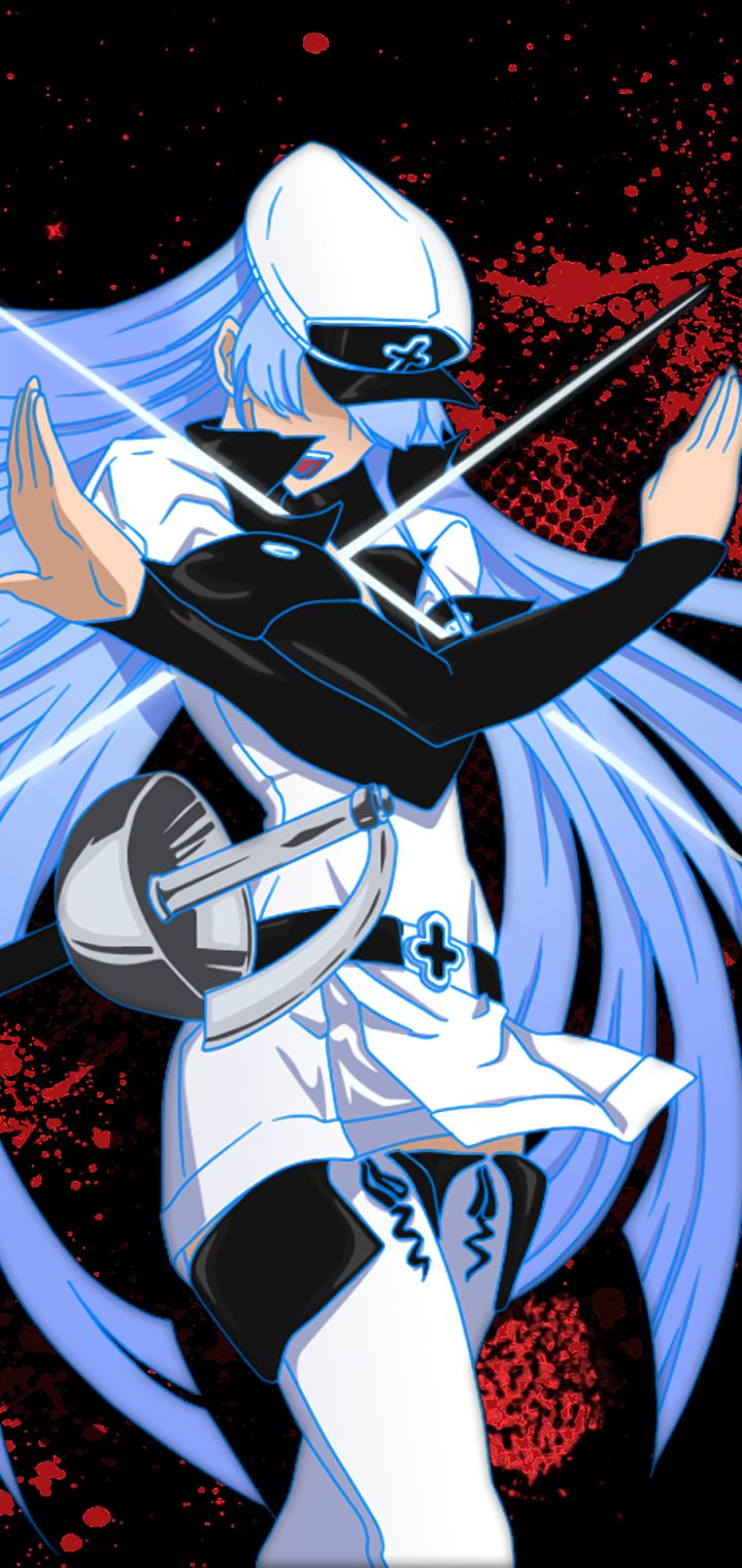 Handy-Wallpaper Animes, Akame Ga Kill: Schwerter Der Assassinen, Esdeath (Akame Ga Kill!) kostenlos herunterladen.