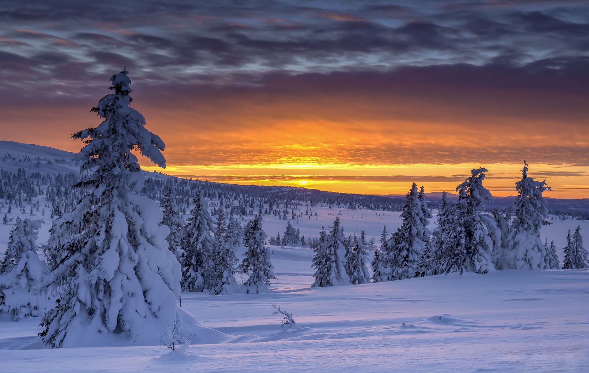 Скачати мобільні шпалери Пейзаж, Зима, Природа, Сніг, Земля, Норвегія, Схід Сонця безкоштовно.