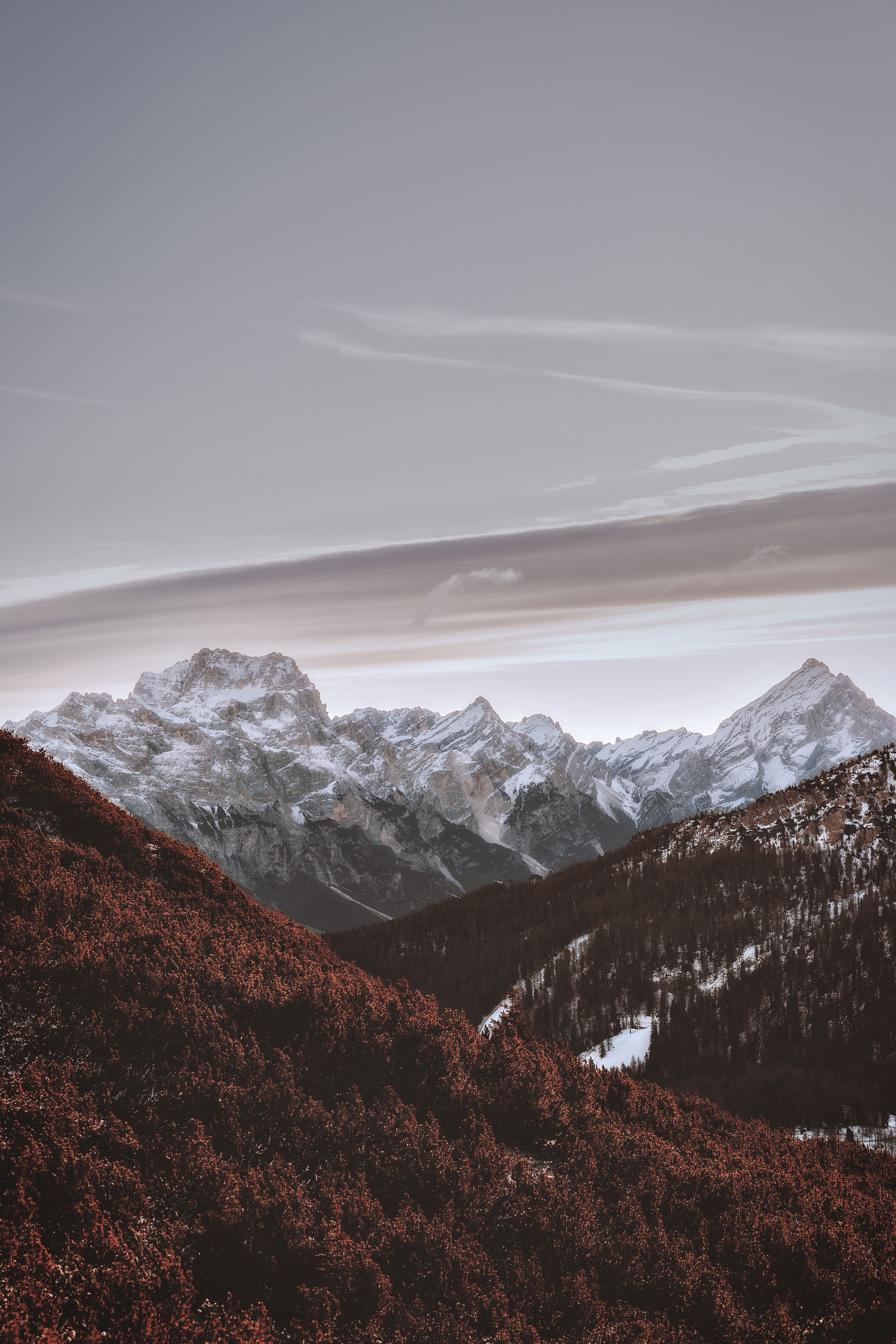 116219 descargar imagen tops, vértice, naturaleza, árboles, cielo, montañas, cubierto de nieve, nevado: fondos de pantalla y protectores de pantalla gratis