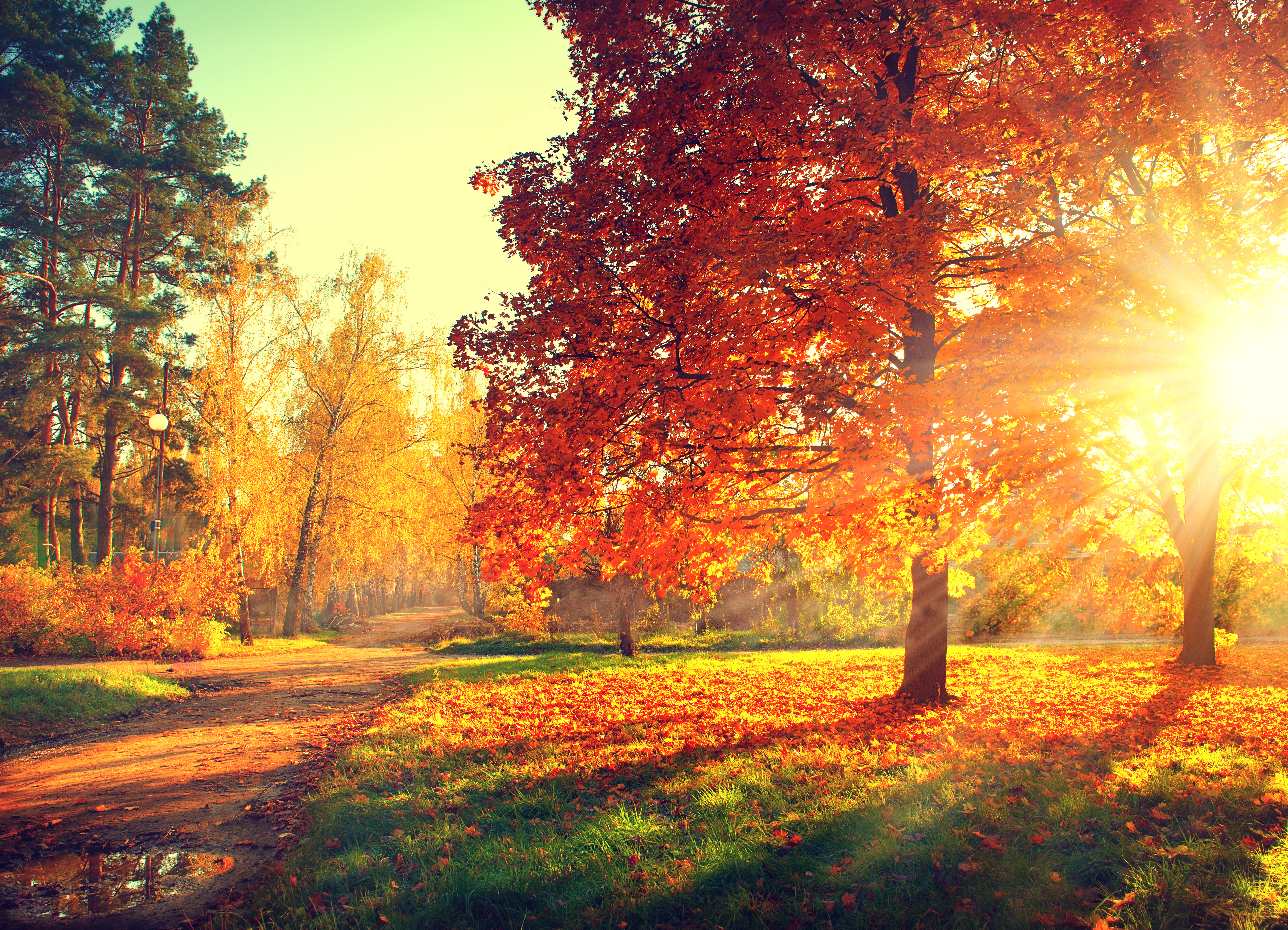 Free download wallpaper Fall, Earth, Path on your PC desktop