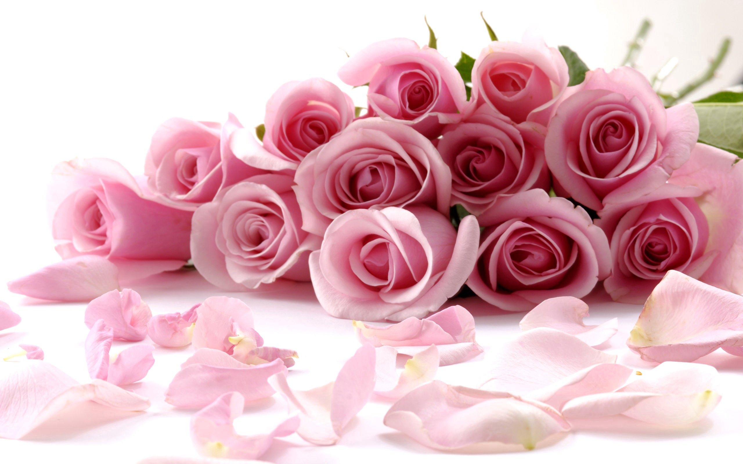 Free download wallpaper Miscellanea, Miscellaneous, Roses, Petals, Bouquet on your PC desktop