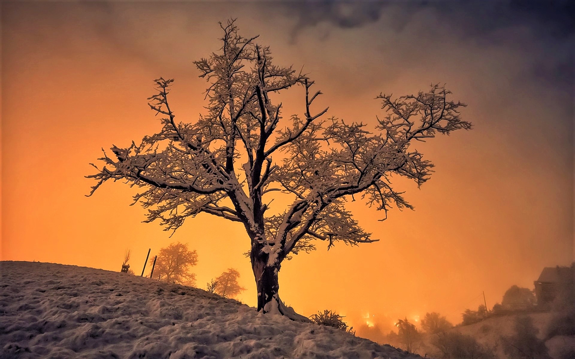 Скачать обои бесплатно Зима, Деревья, Закат, Небо, Снег, Дерево, Земля/природа картинка на рабочий стол ПК