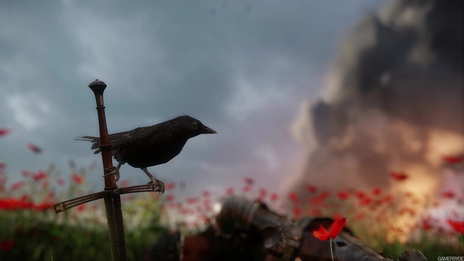 kingdom come: deliverance, video game, bird, sword