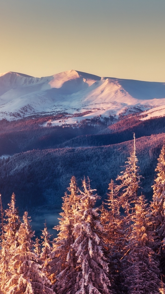 Descarga gratuita de fondo de pantalla para móvil de Invierno, Tierra/naturaleza.