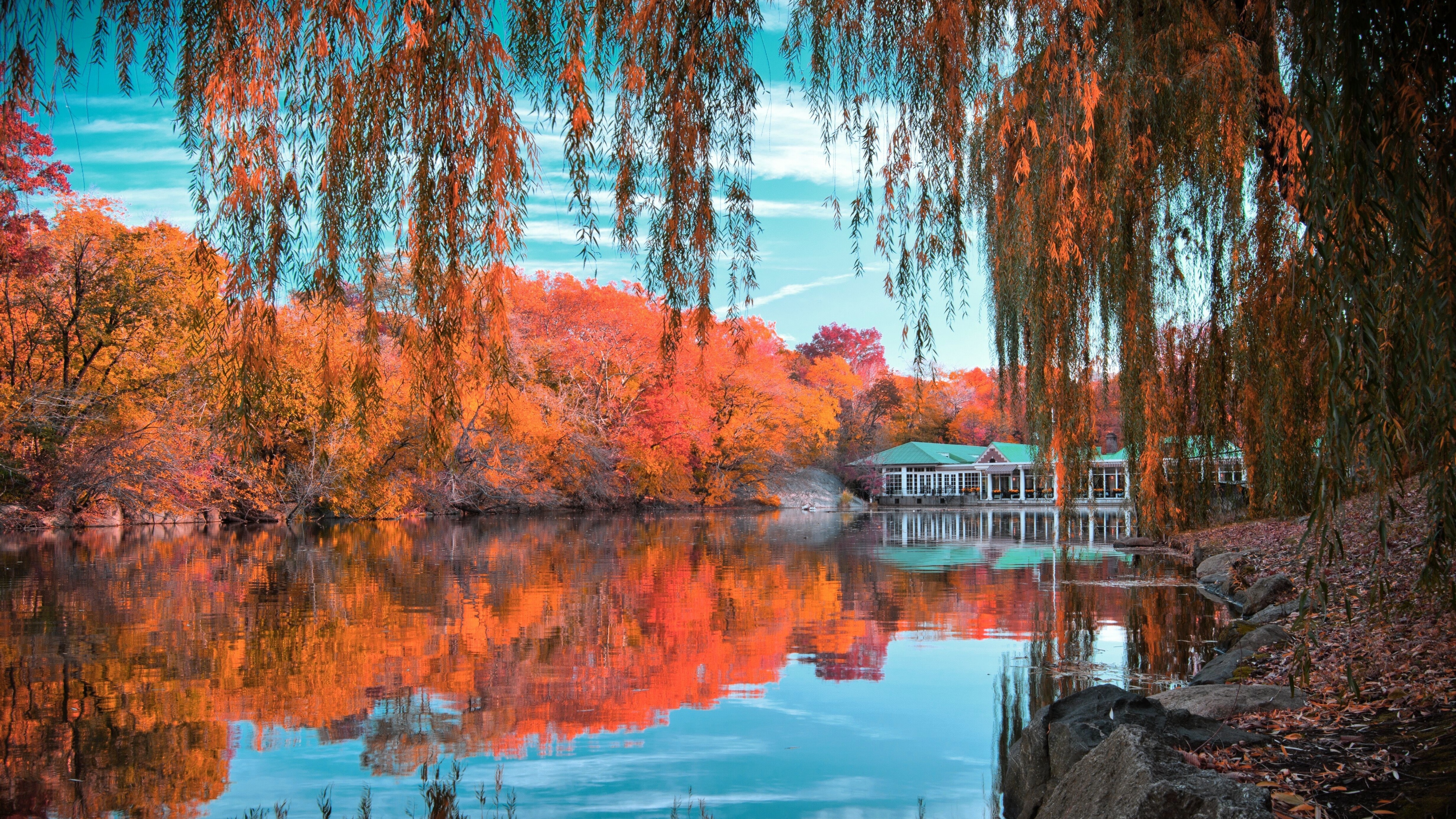 774895 скачать картинку осень, сделано человеком, центральный парк, пруд, отражение, дерево - обои и заставки бесплатно
