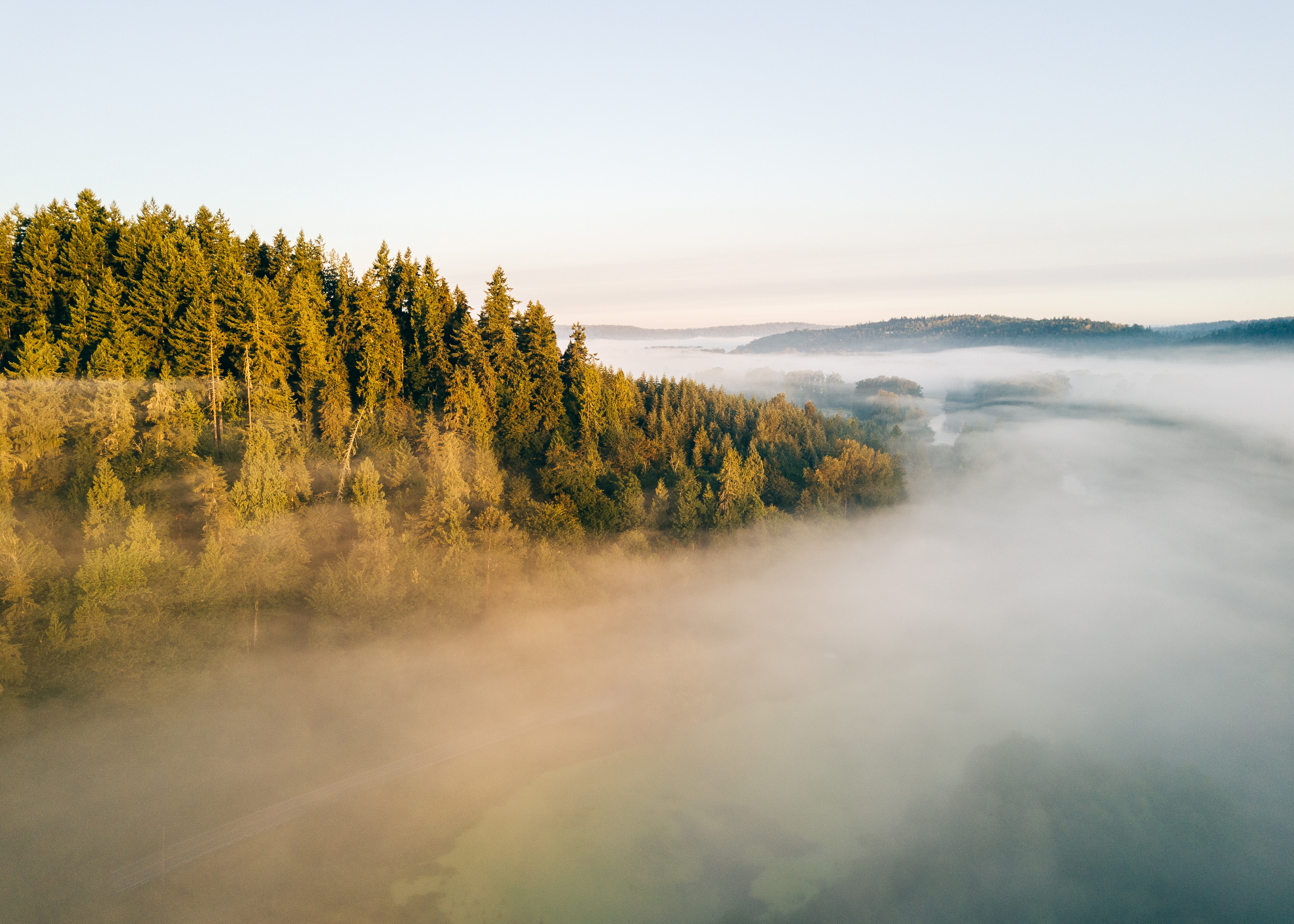 Descarga gratuita de fondo de pantalla para móvil de Paisaje, Niebla, Tierra/naturaleza.