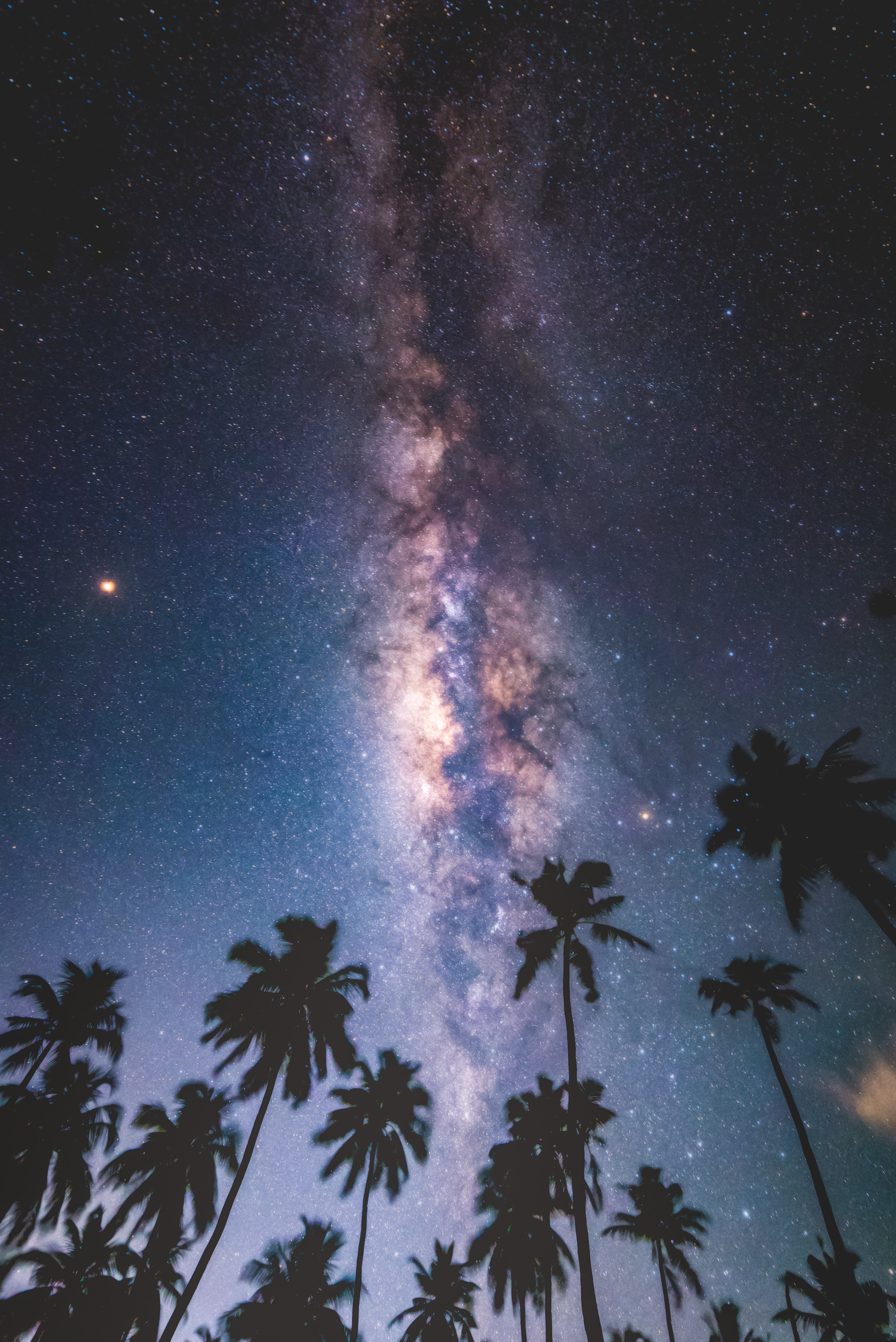 Desktop FHD milky way, nature, stars, night, palms, starry sky, maldives