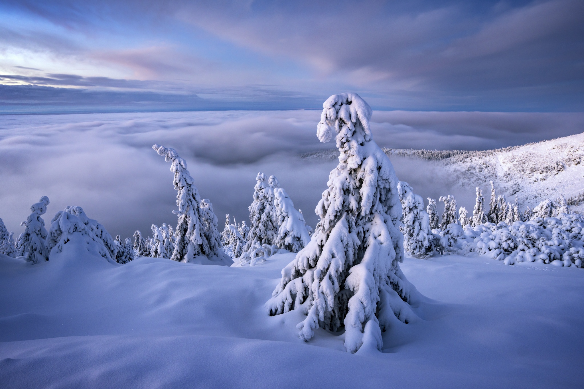 Скачать картинку Зима, Природа, Облака, Снег, Горизонт, Дерево, Ландшафт, Чехия, Земля/природа в телефон бесплатно.