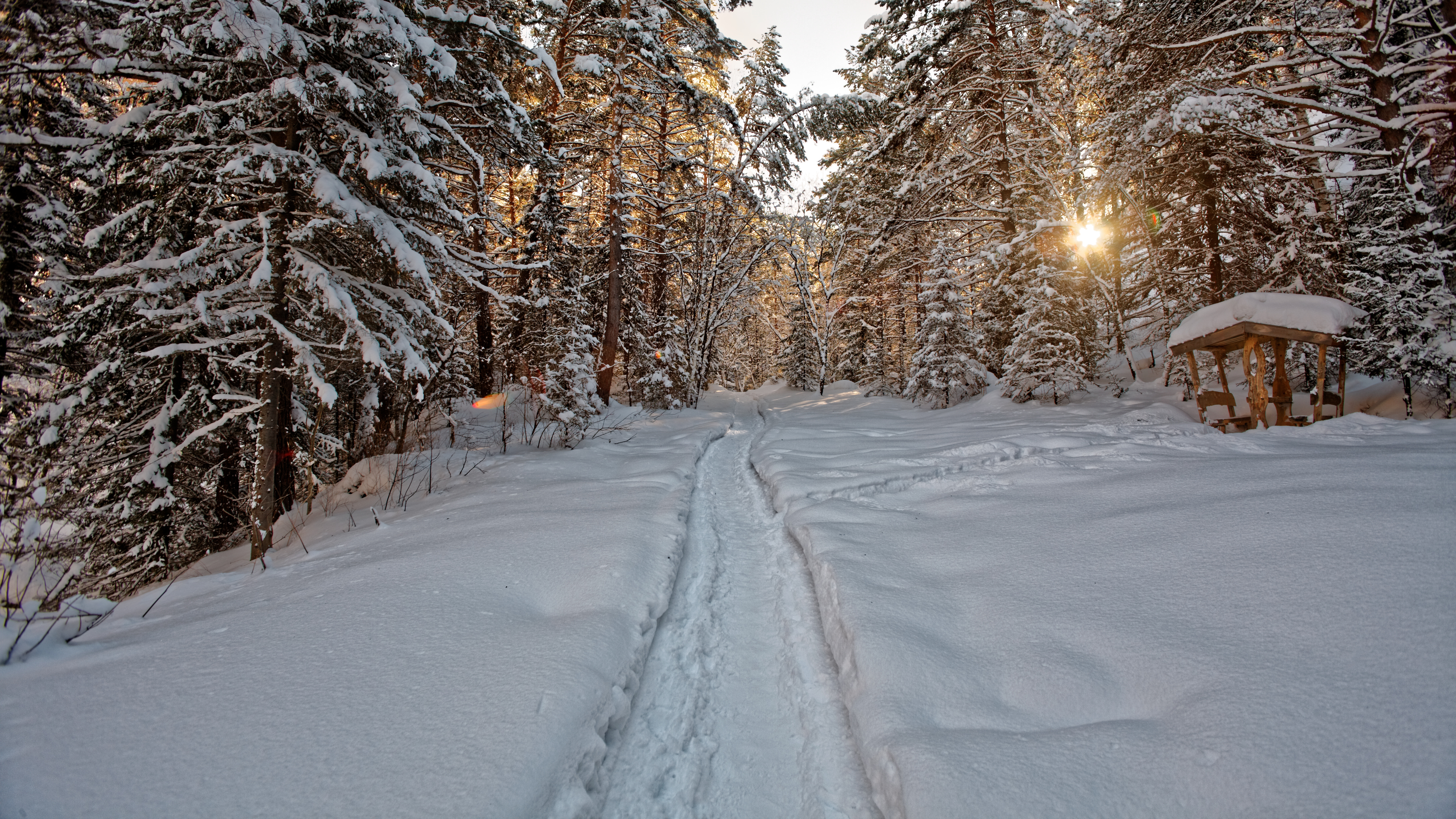 Free download wallpaper Winter, Snow, Forest, Earth, Path on your PC desktop
