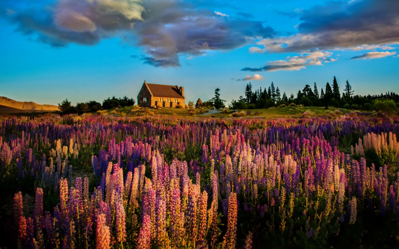 Descarga gratis la imagen Paisaje, Fotografía en el escritorio de tu PC