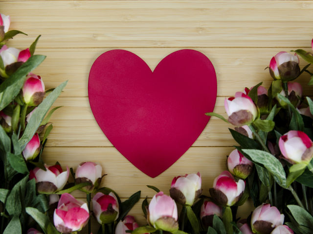 Téléchargez des papiers peints mobile Amour, Fleur, Cœur, Photographie, Pivoine, Romantique, Coeur, Fleur Rose gratuitement.
