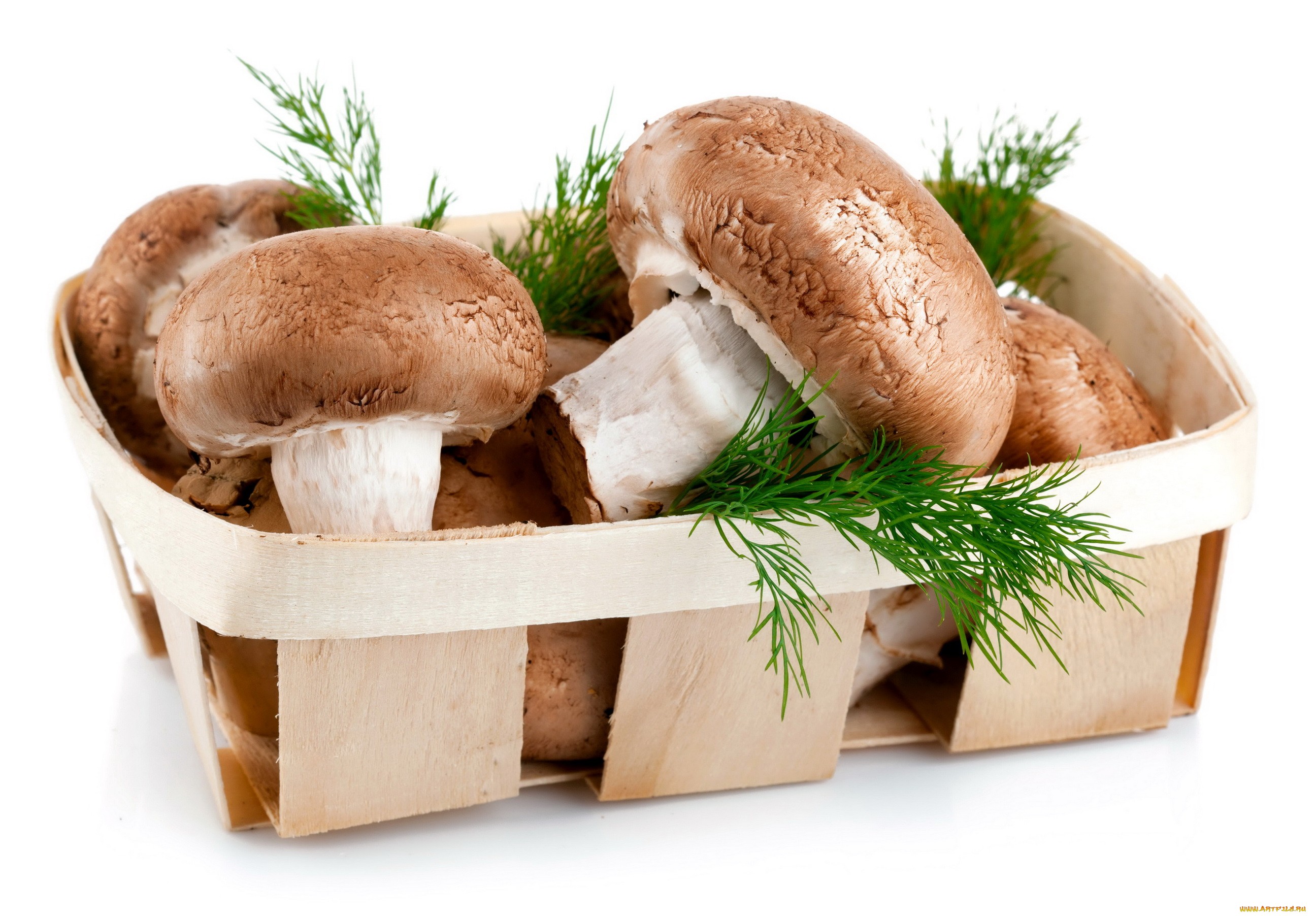 Handy-Wallpaper Pilz, Nahrungsmittel kostenlos herunterladen.