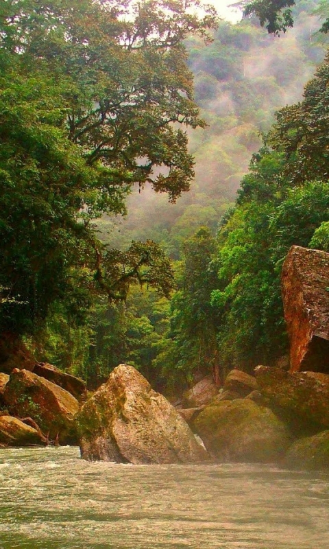 Baixar papel de parede para celular de Rio, Terra/natureza gratuito.