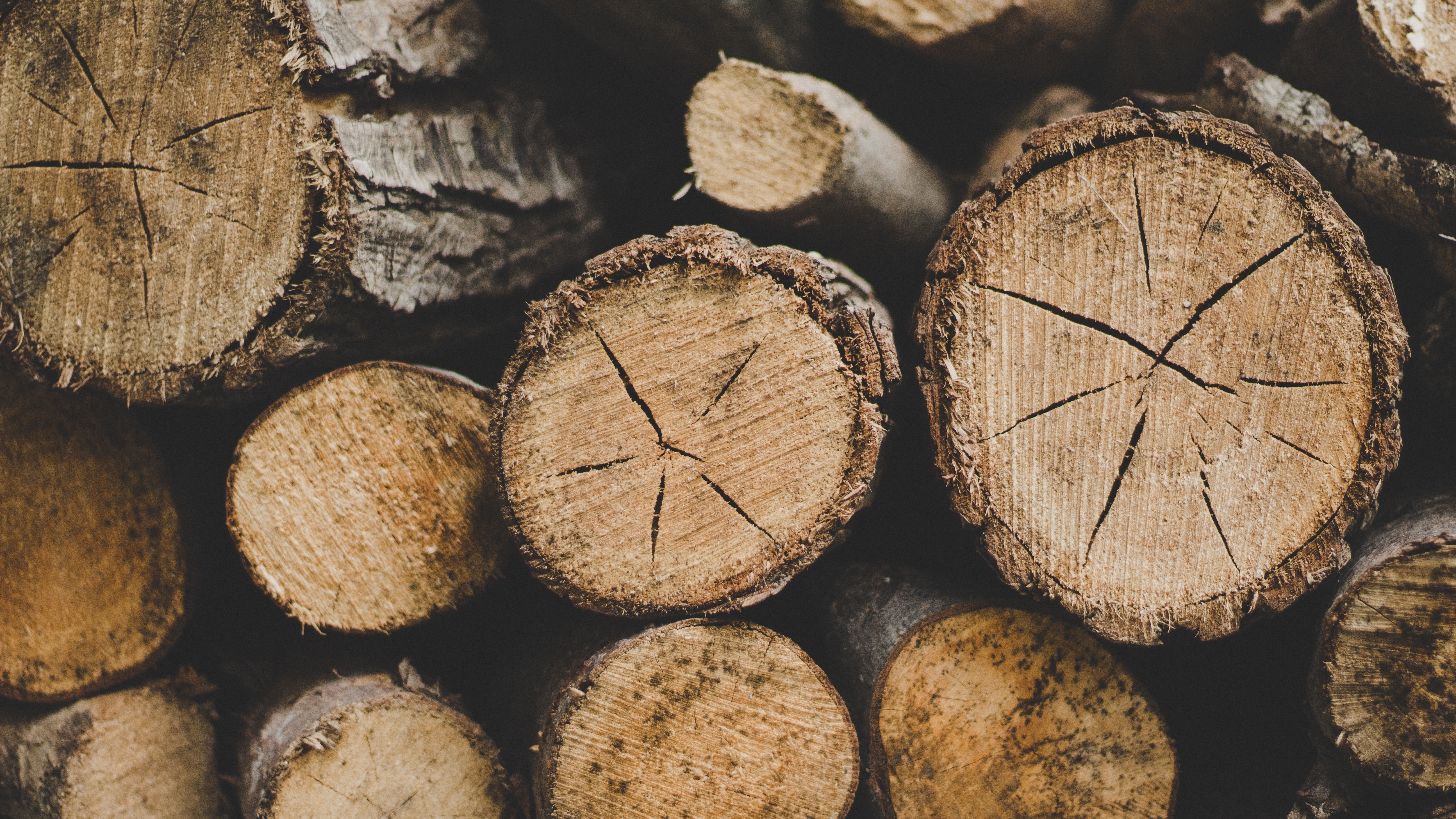 miscellanea, miscellaneous, wood, tree, firewood, logs