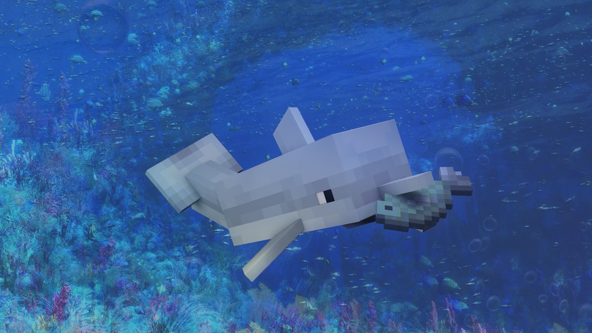 Free download wallpaper Water, Minecraft, Dolphin, Video Game on your PC desktop