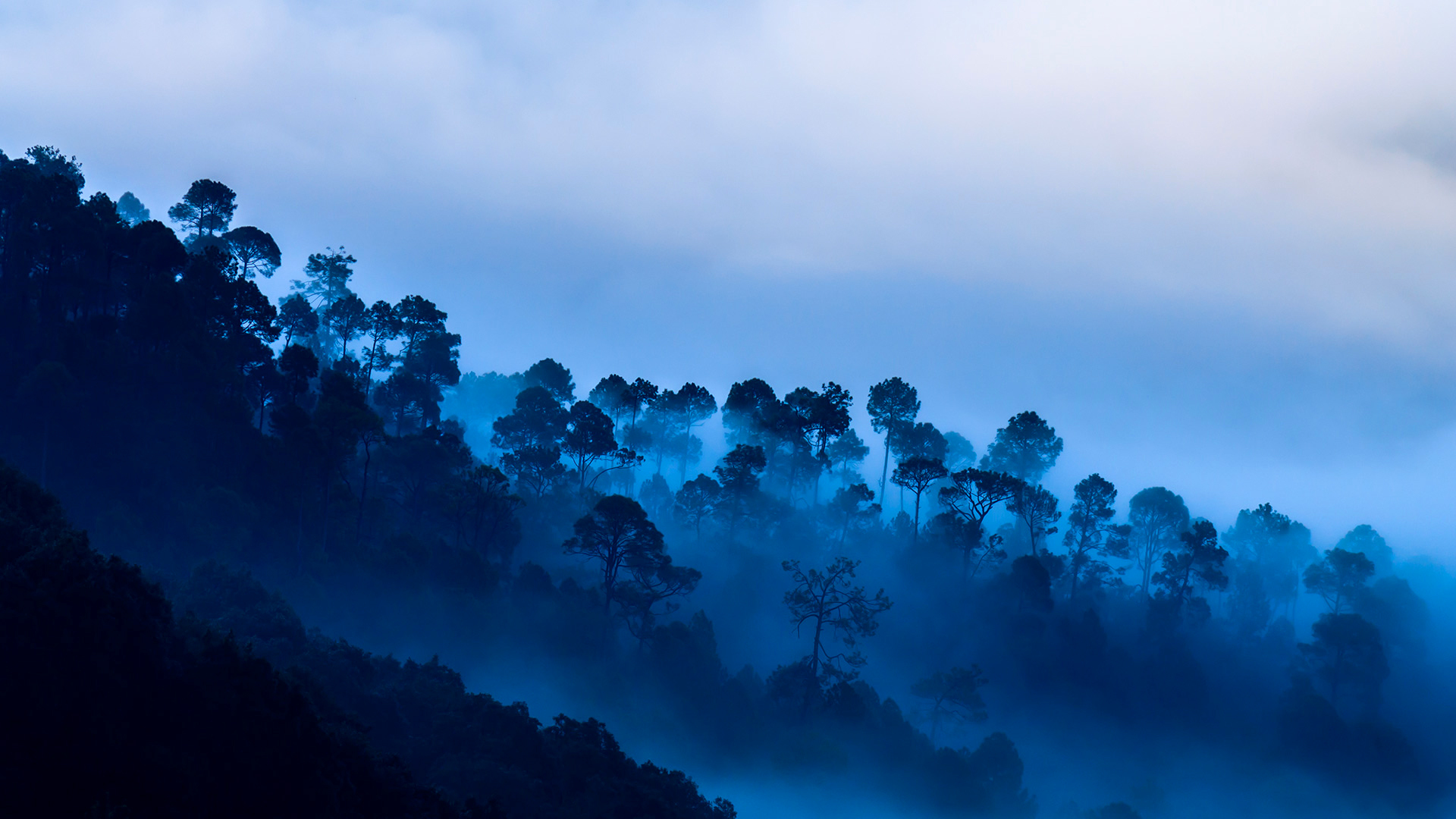 Free download wallpaper Landscape, Nature, Forest, Fog, Earth on your PC desktop