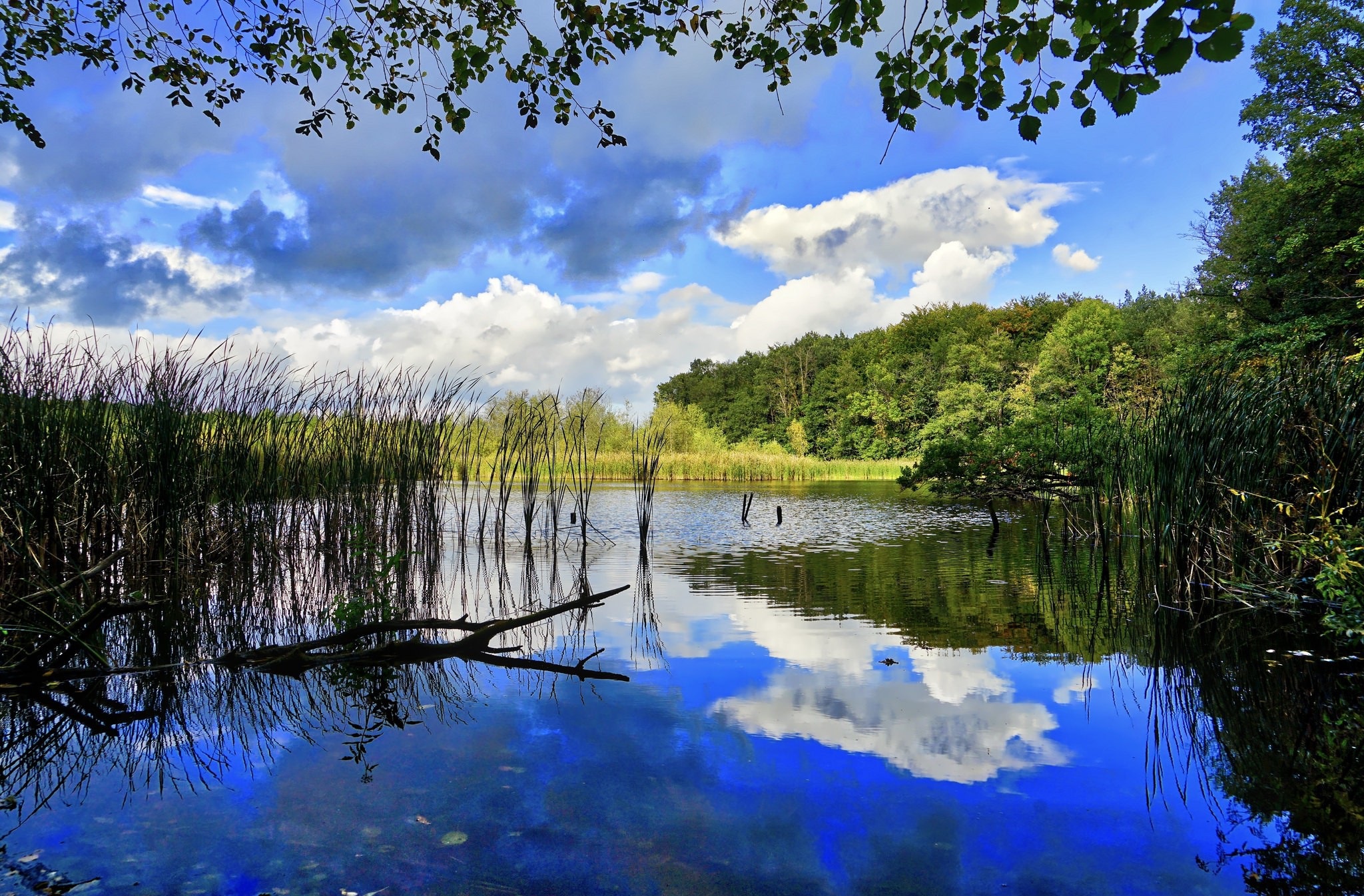 Téléchargez des papiers peints mobile Lac, Nuage, La Nature, Terre/nature, Réflection gratuitement.