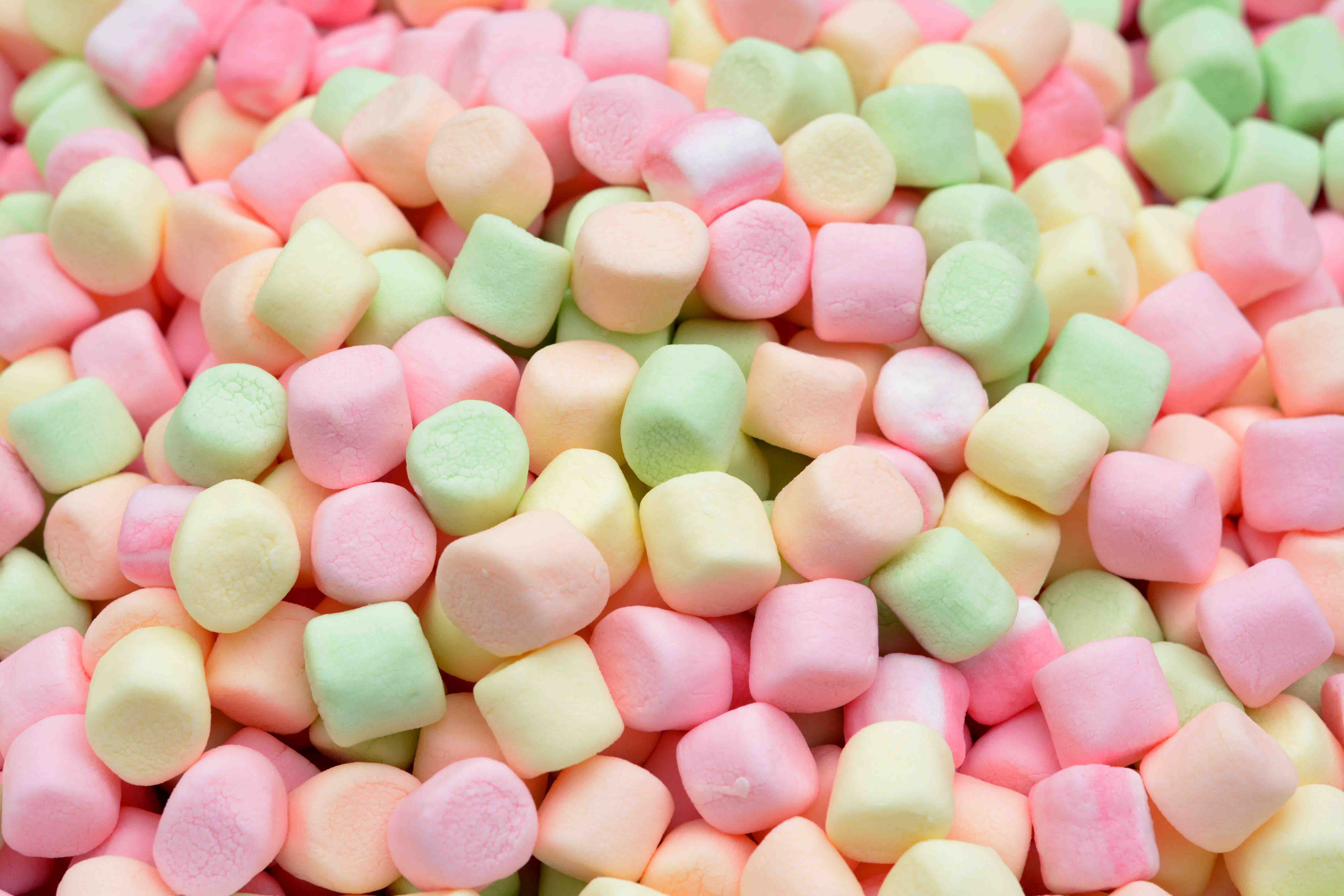 food, marshmallow
