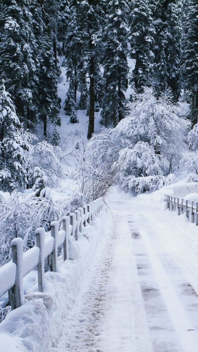 Download mobile wallpaper Winter, Nature, Snow, Road, Forest, Tree, Earth, Path, Bridge, Fence for free.