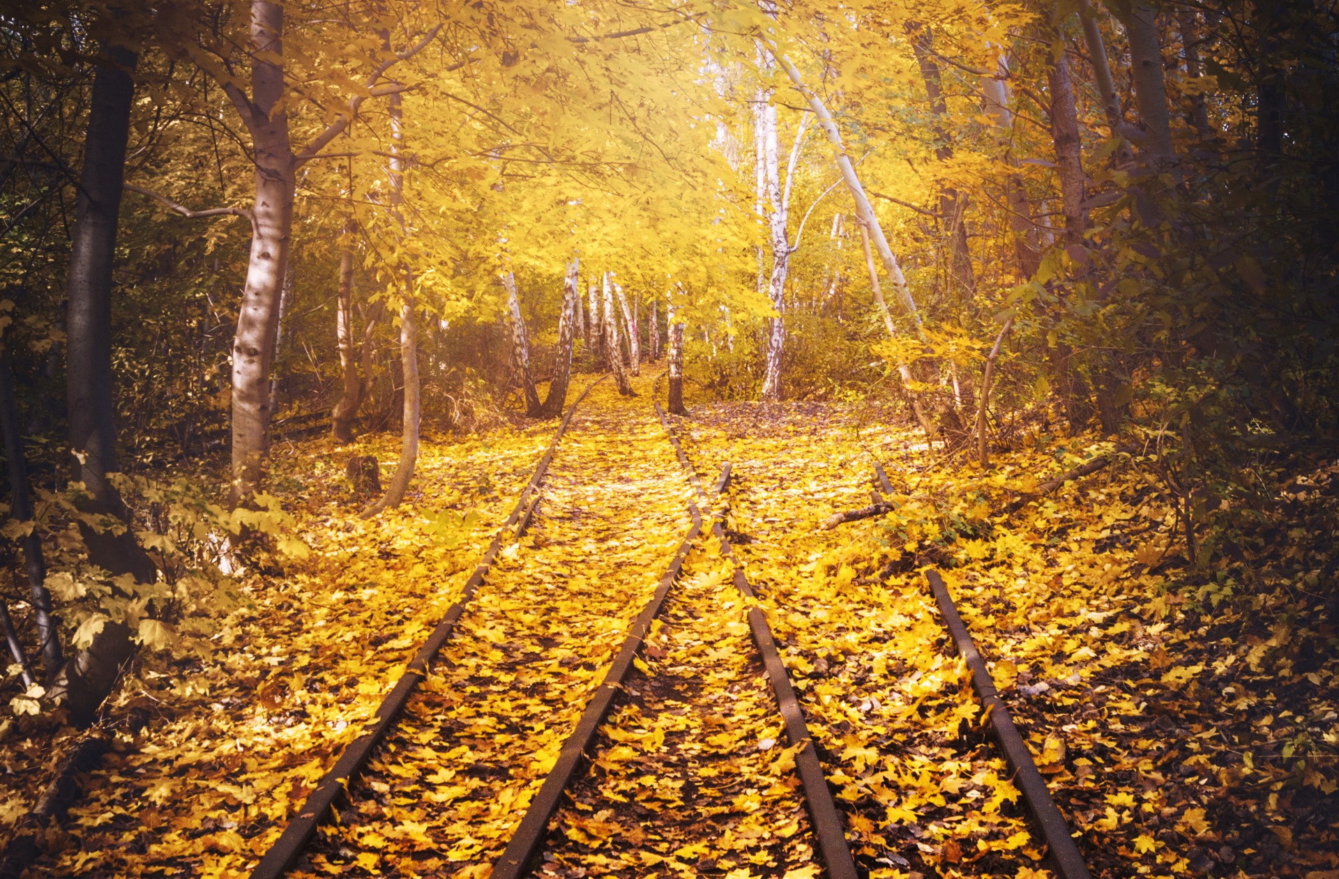 Скачать обои бесплатно Осень, Дерево, Листва, Железная Дорога, Сделано Человеком, Берёза картинка на рабочий стол ПК