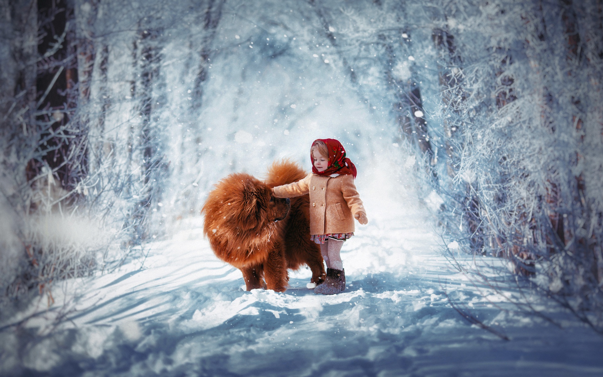 chow chow, winter, photography, child, cute, dog, little girl, road, snow