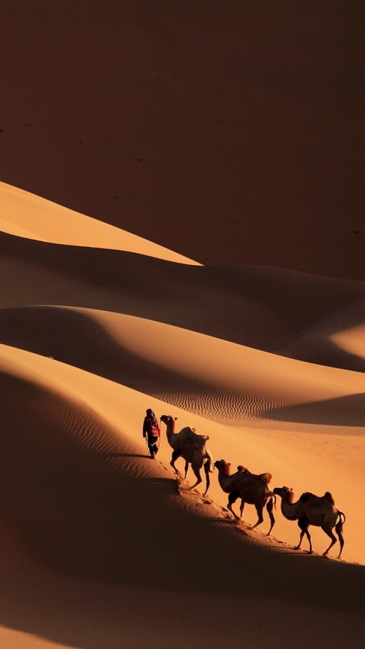 Download mobile wallpaper Sand, Desert, Dune, Photography, Camel, Caravan for free.