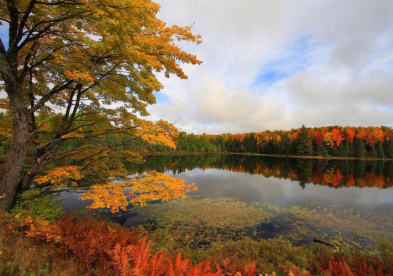 Téléchargez gratuitement l'image Lac, Terre/nature sur le bureau de votre PC