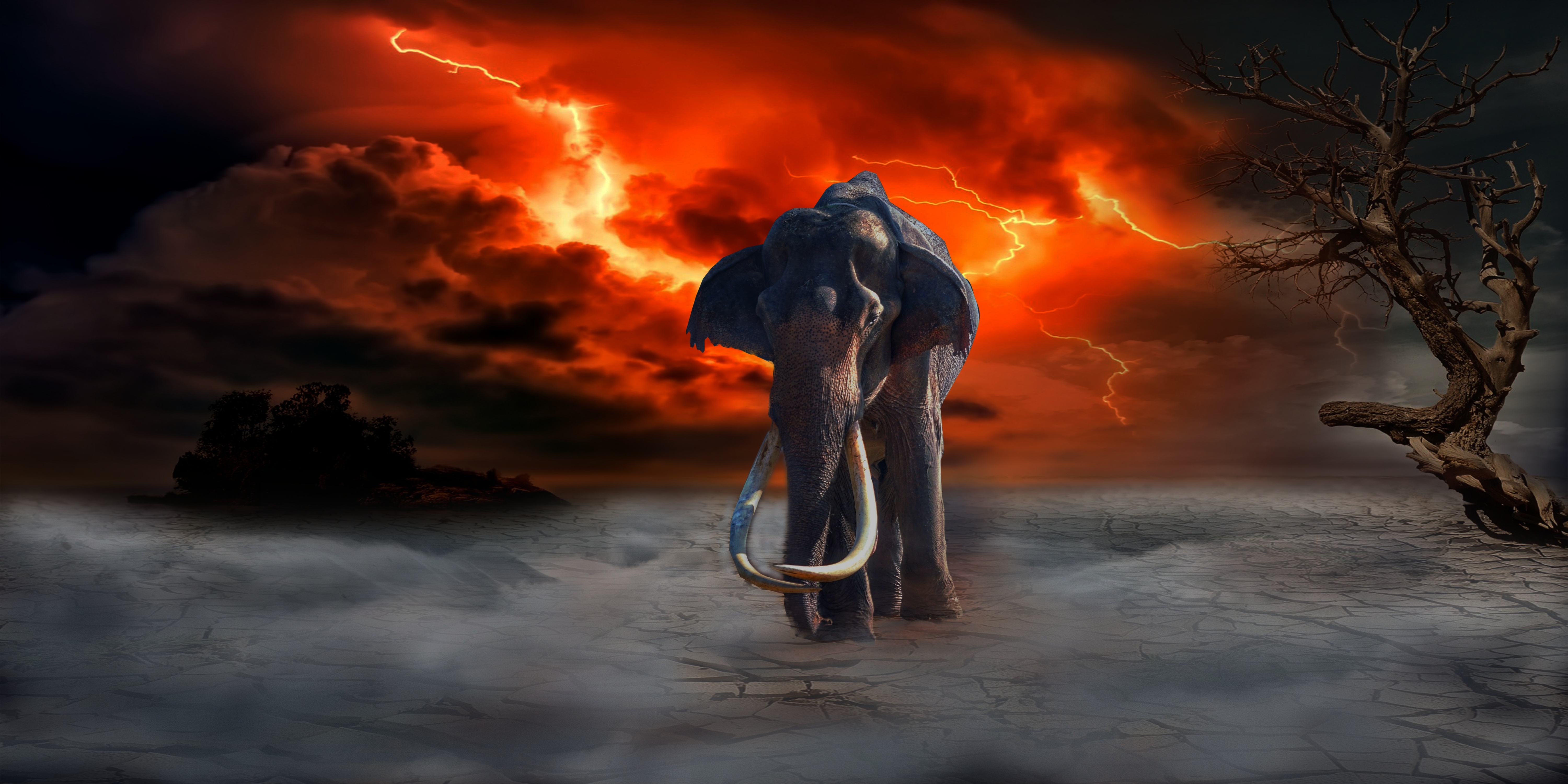 elephant, photoshop, fantasy, art, lightning Full HD