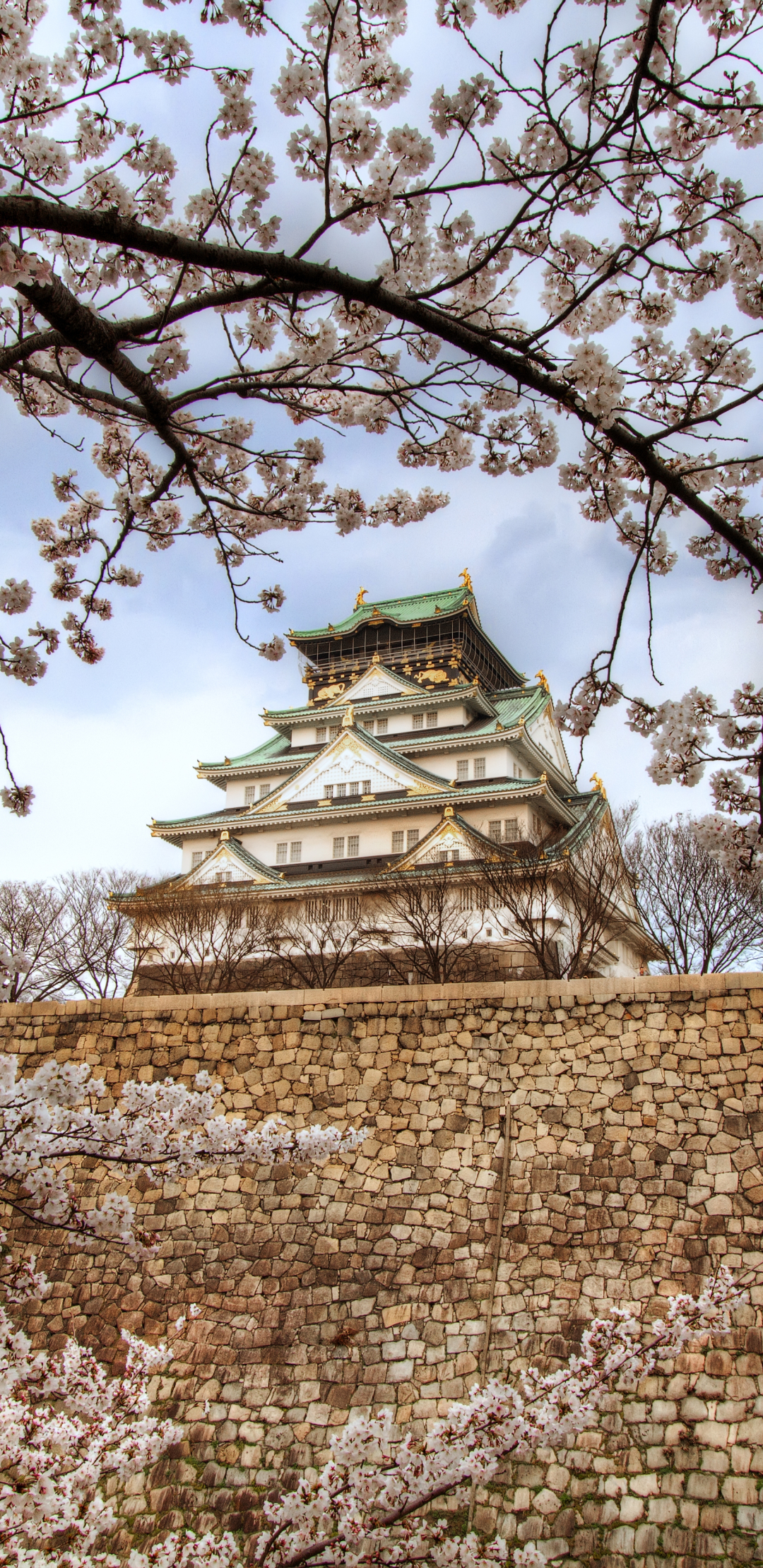 Скачать картинку Замки, Сакура, Япония, Весна, Осака, Сделано Человеком, Вишня В Цвету, Осакский Замок в телефон бесплатно.