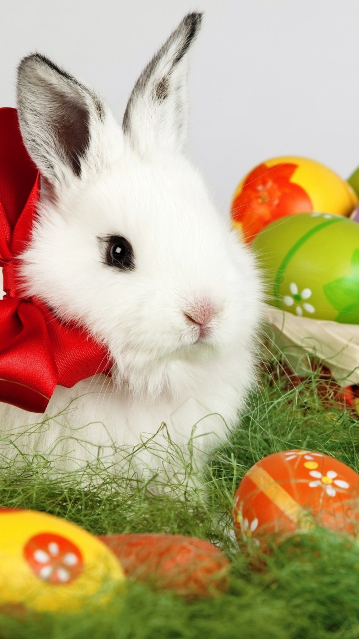 Скачати мобільні шпалери Великдень, Свято, Кошик, Кролик, Яйце, Зайчик безкоштовно.