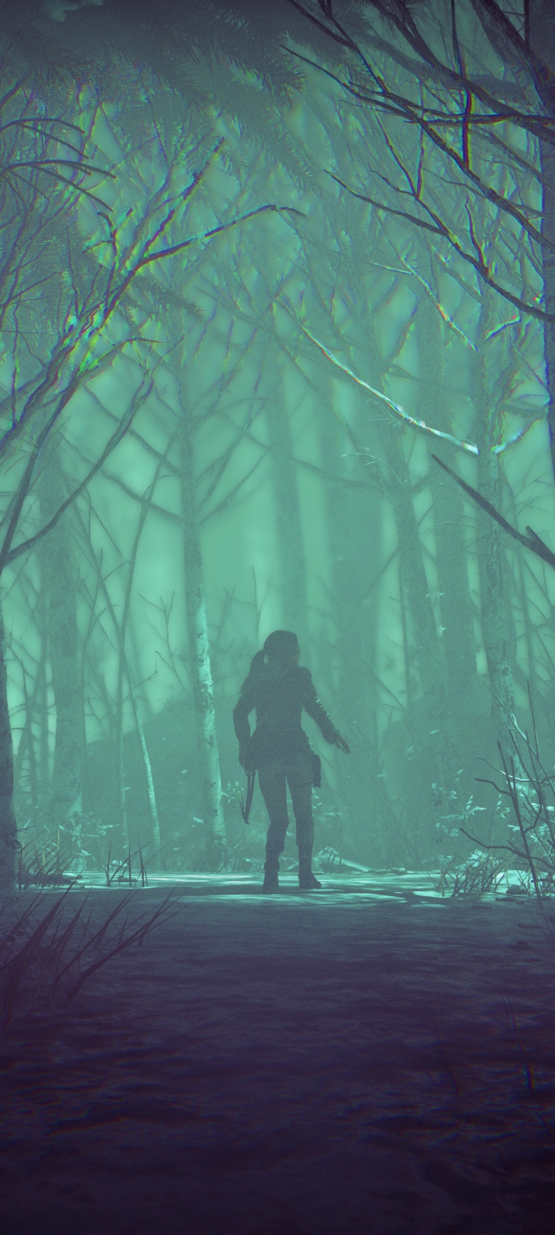 Handy-Wallpaper Rise Of The Tomb Raider, Lara Croft, Tomb Raider, Computerspiele kostenlos herunterladen.