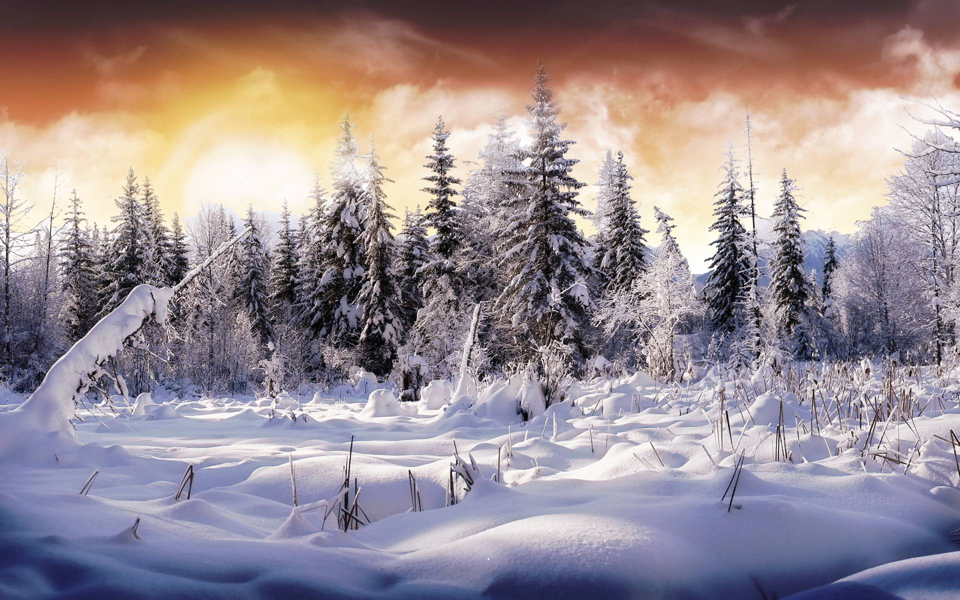 Laden Sie das Winter, Erde/natur-Bild kostenlos auf Ihren PC-Desktop herunter