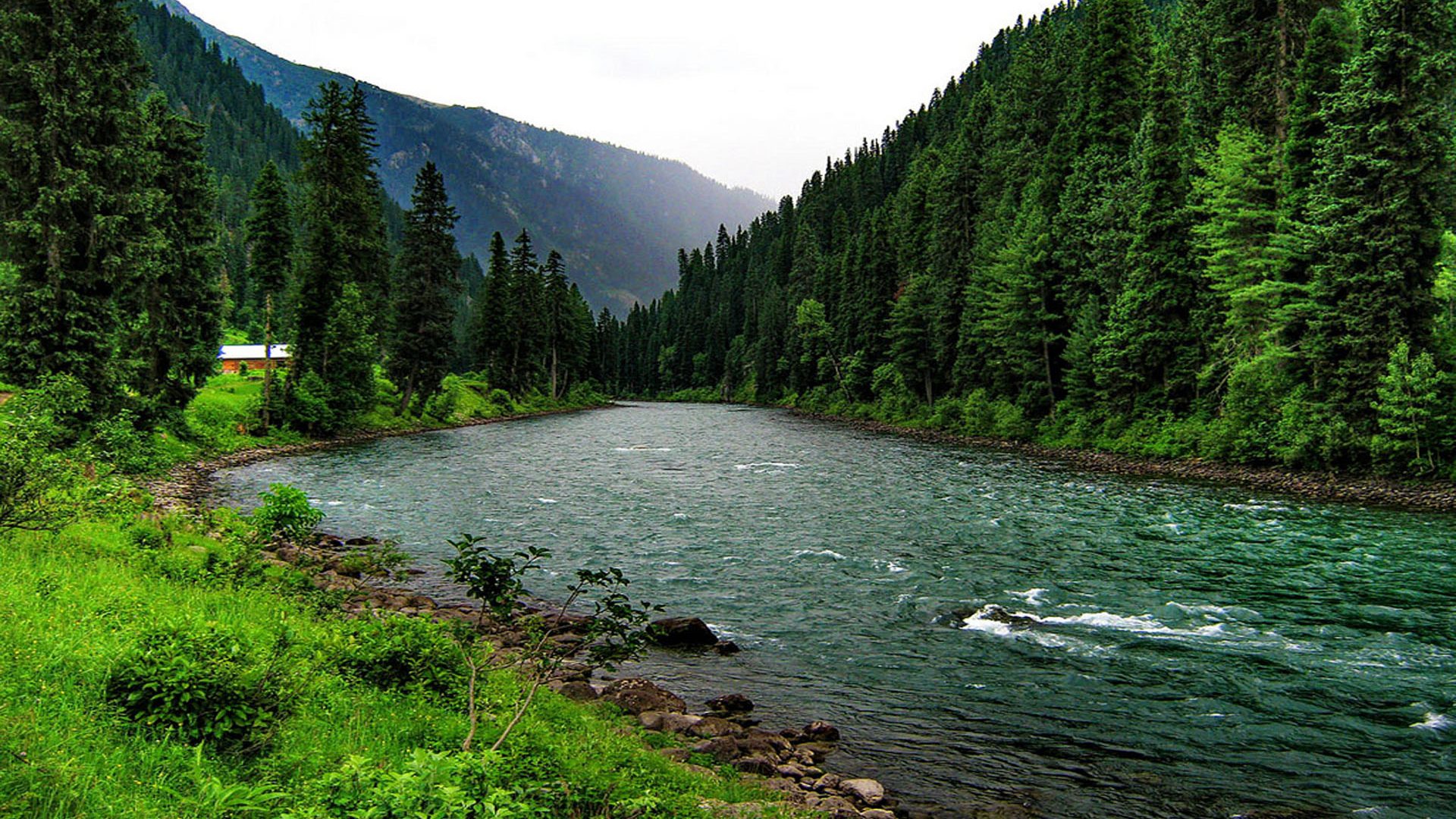 Скачать картинку Река, Гора, Лес, Зеленый, Земля/природа в телефон бесплатно.