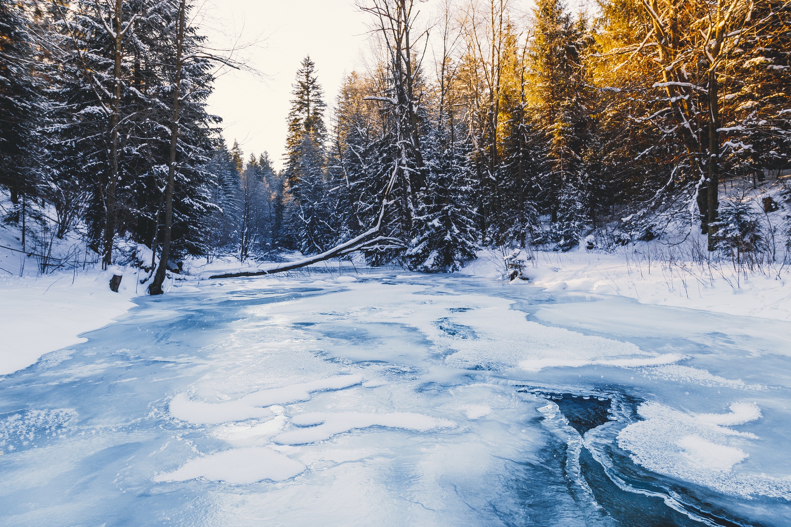 Download mobile wallpaper Winter, Nature, Ice, Snow, Forest, Earth, Frozen, River for free.
