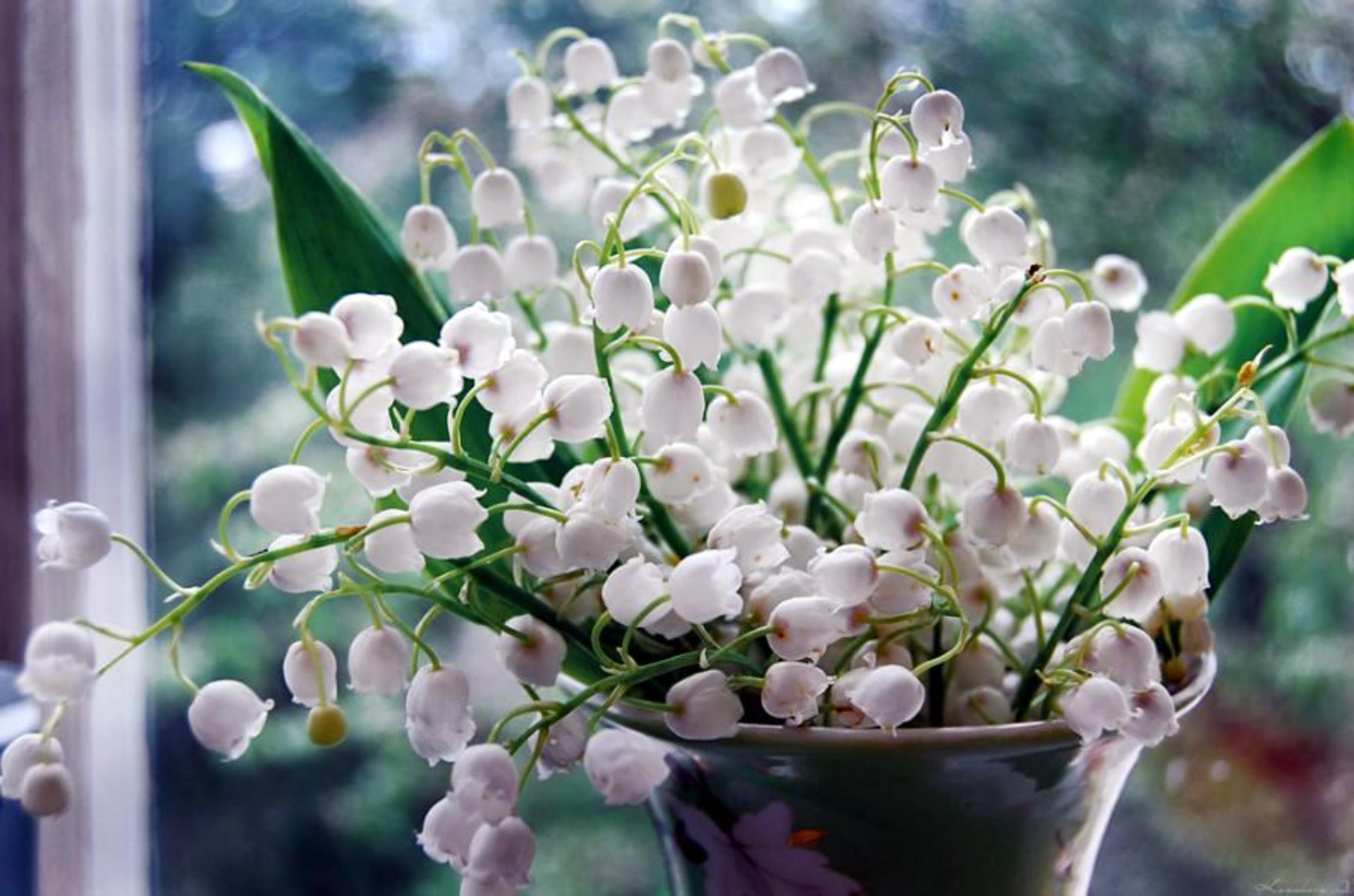 lily of the valley, man made, flower, white flower