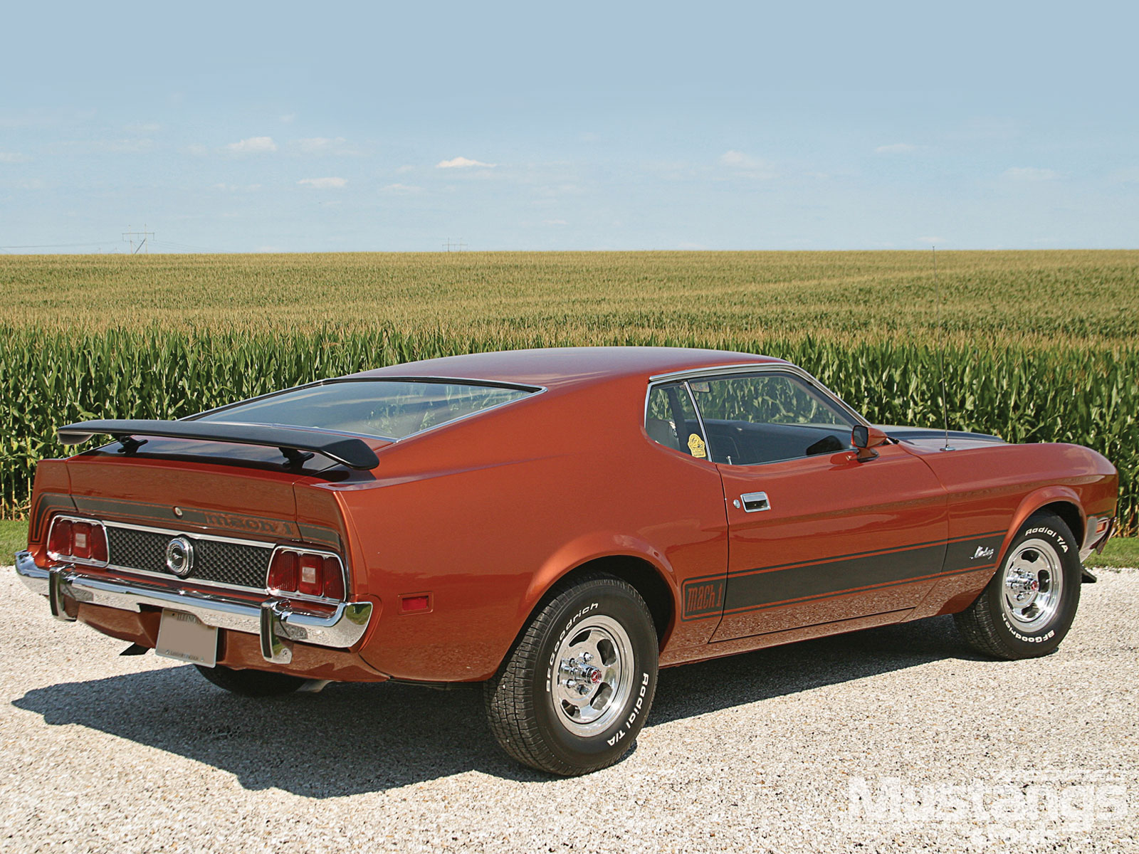 ford mustang mach 1, vehicles, classic car, fastback, ford, muscle car