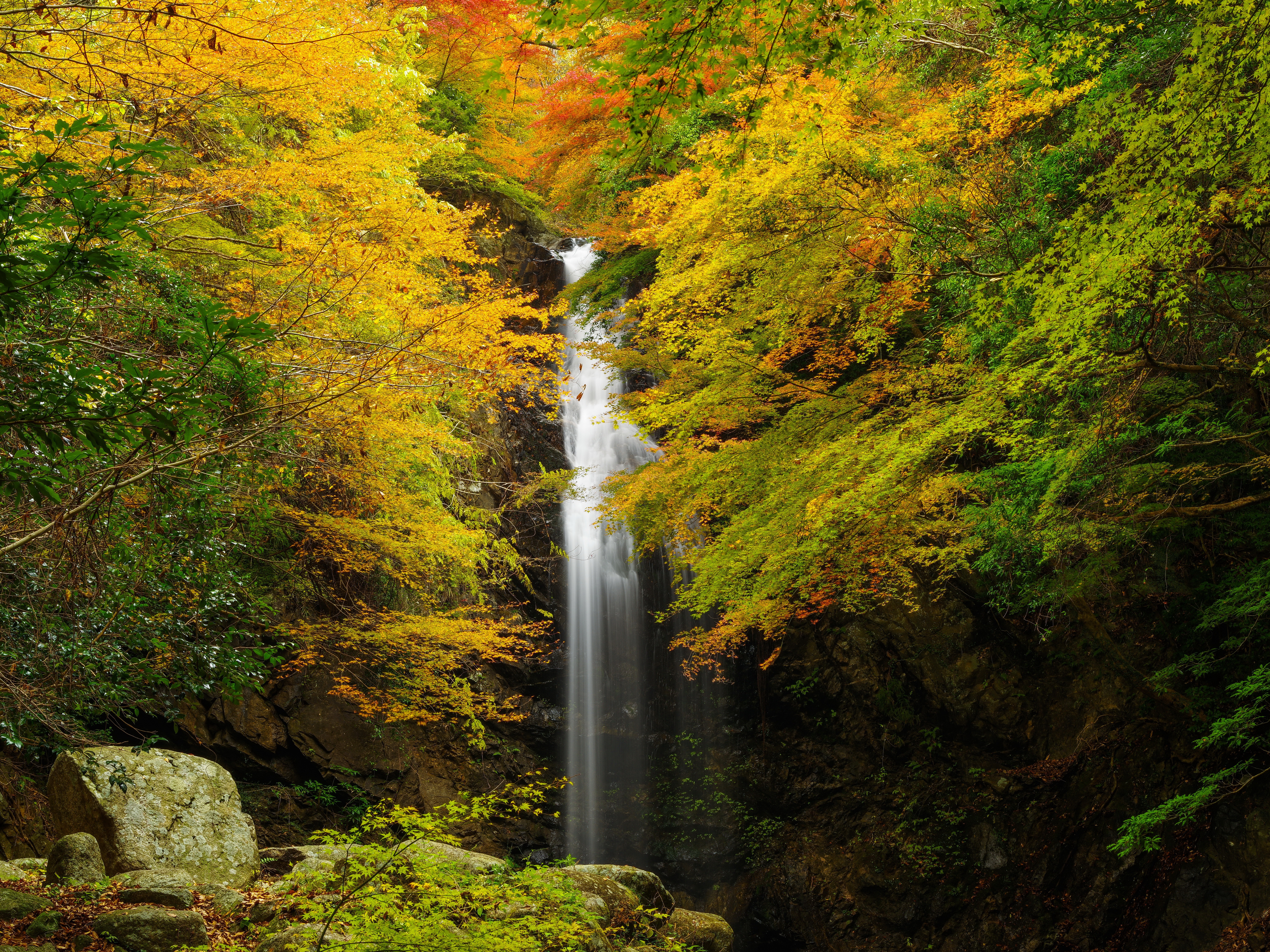 Free download wallpaper Waterfalls, Waterfall, Forest, Fall, Earth on your PC desktop