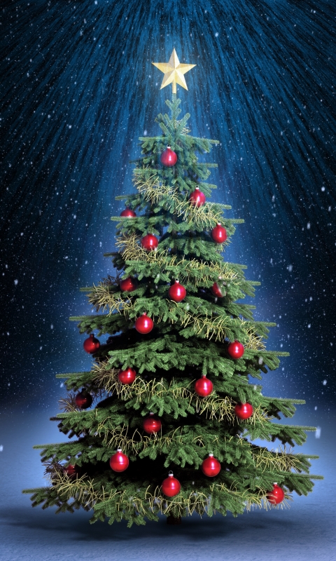 Download mobile wallpaper Christmas, Holiday, Christmas Tree, Christmas Ornaments for free.