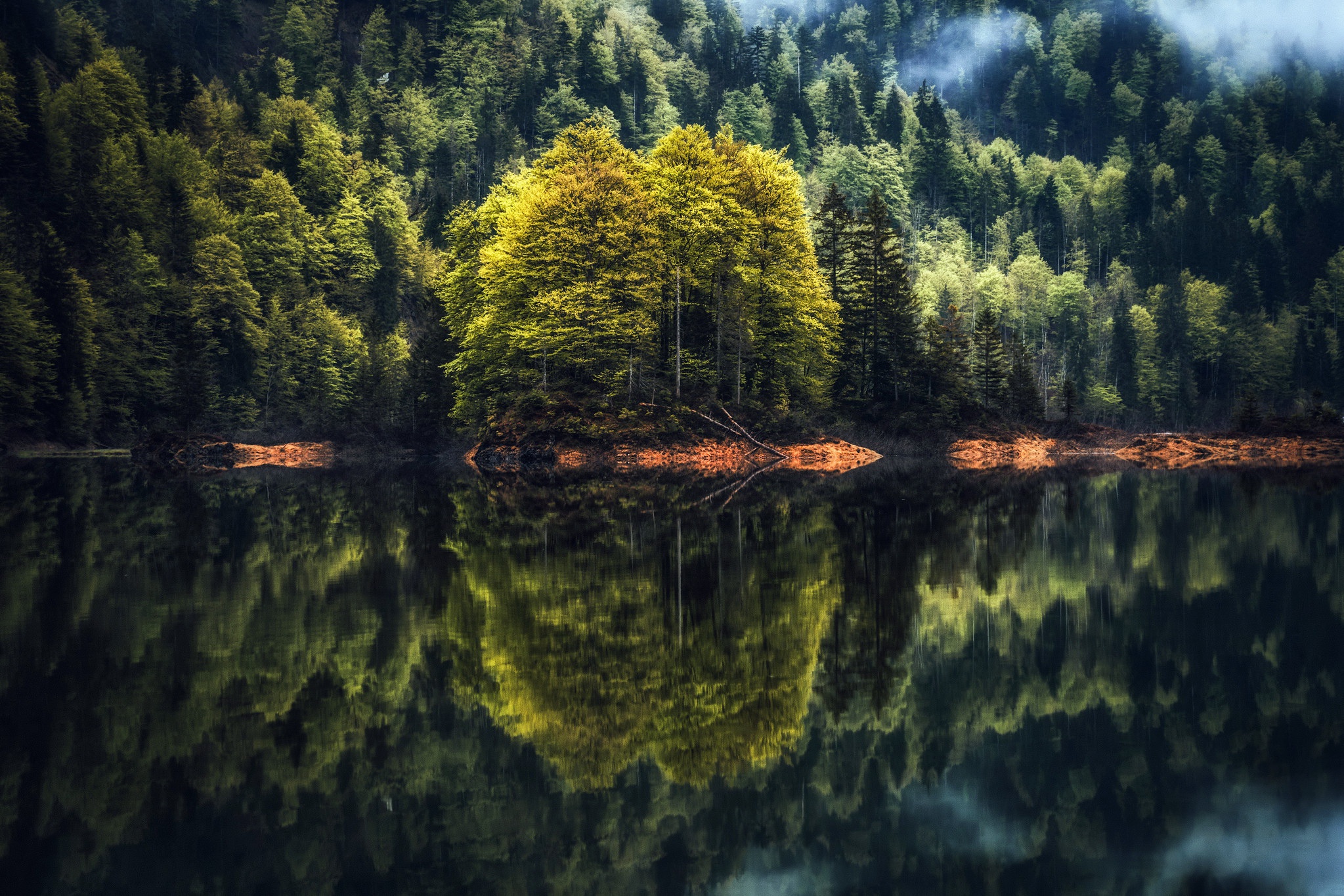 Free download wallpaper Nature, Lake, Reflection, Forest, Earth on your PC desktop