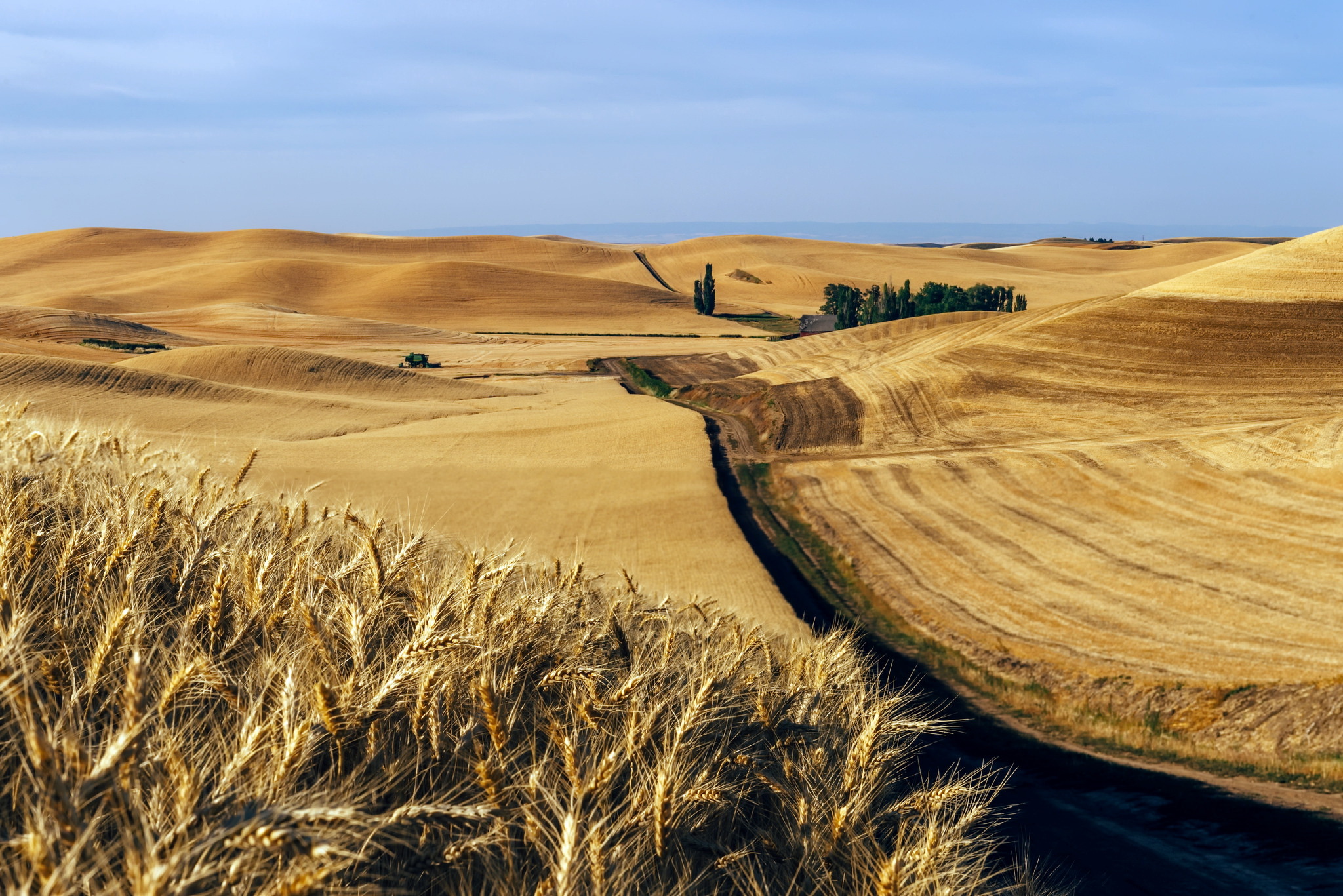 Download mobile wallpaper Landscape, Nature, Summer, Wheat, Horizon, Earth, Field, Hill for free.