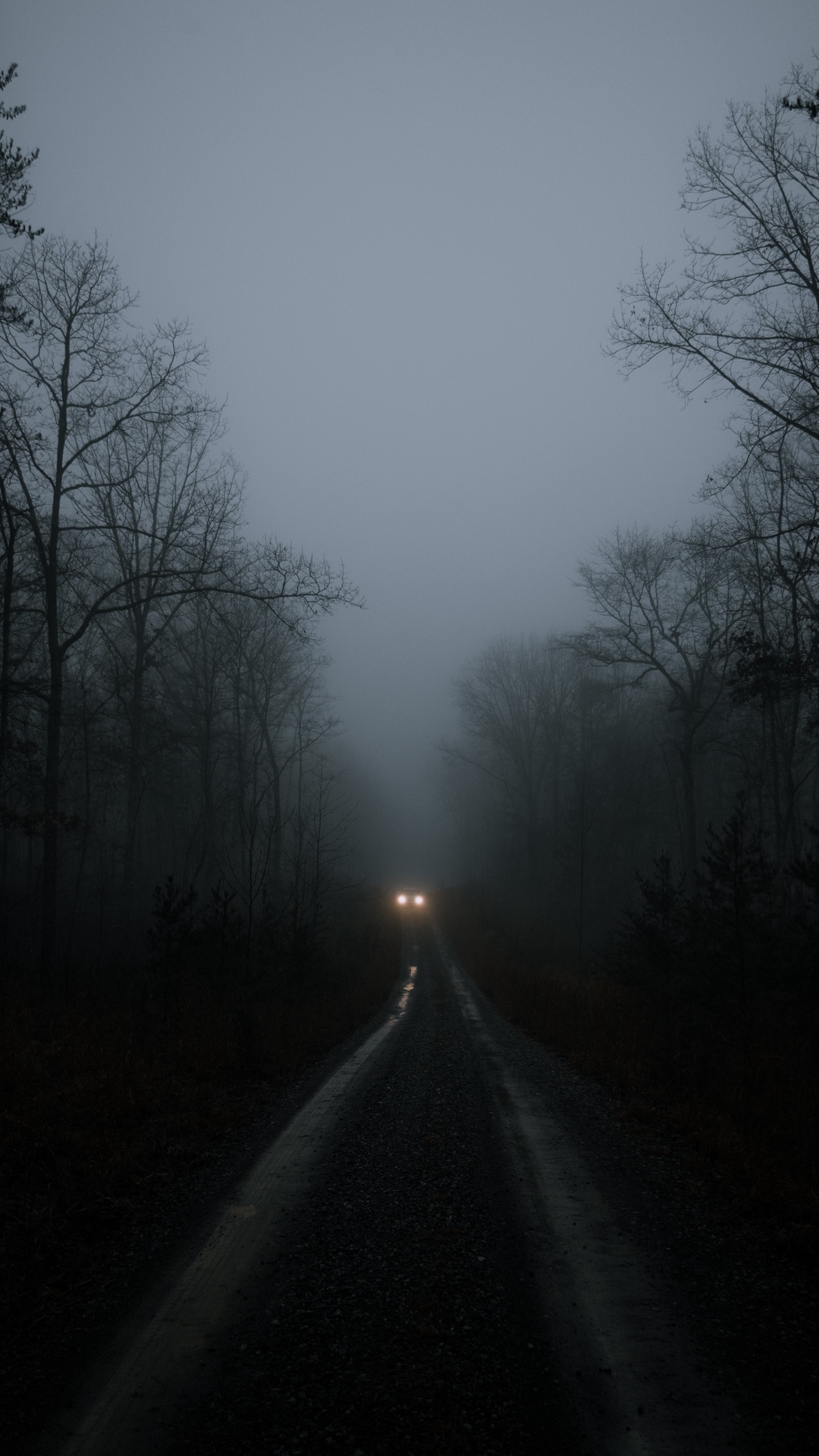 Download mobile wallpaper Night, Light, Road, Fog, Car, Photography for free.