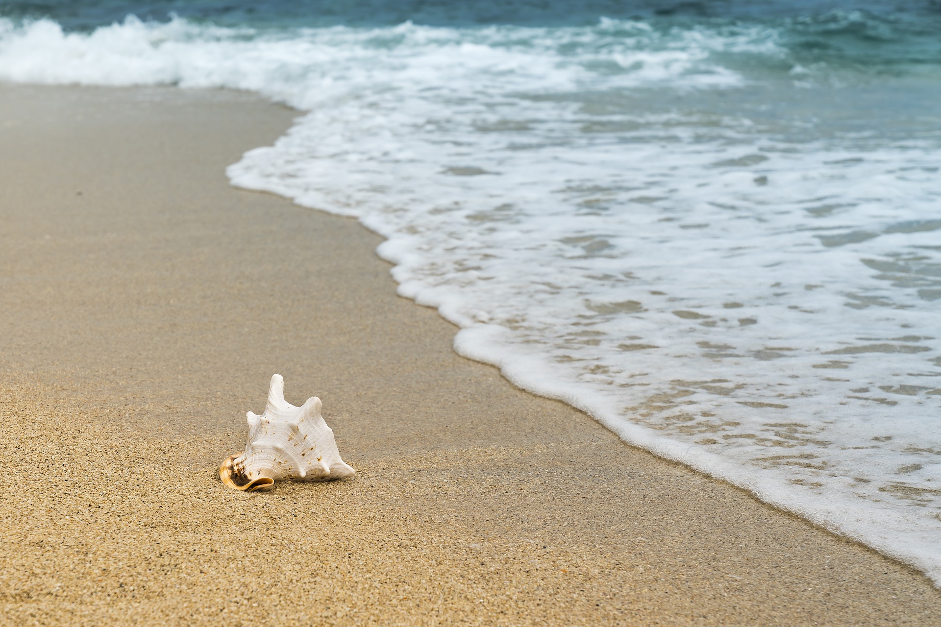 Free download wallpaper Beach, Earth, Shell on your PC desktop