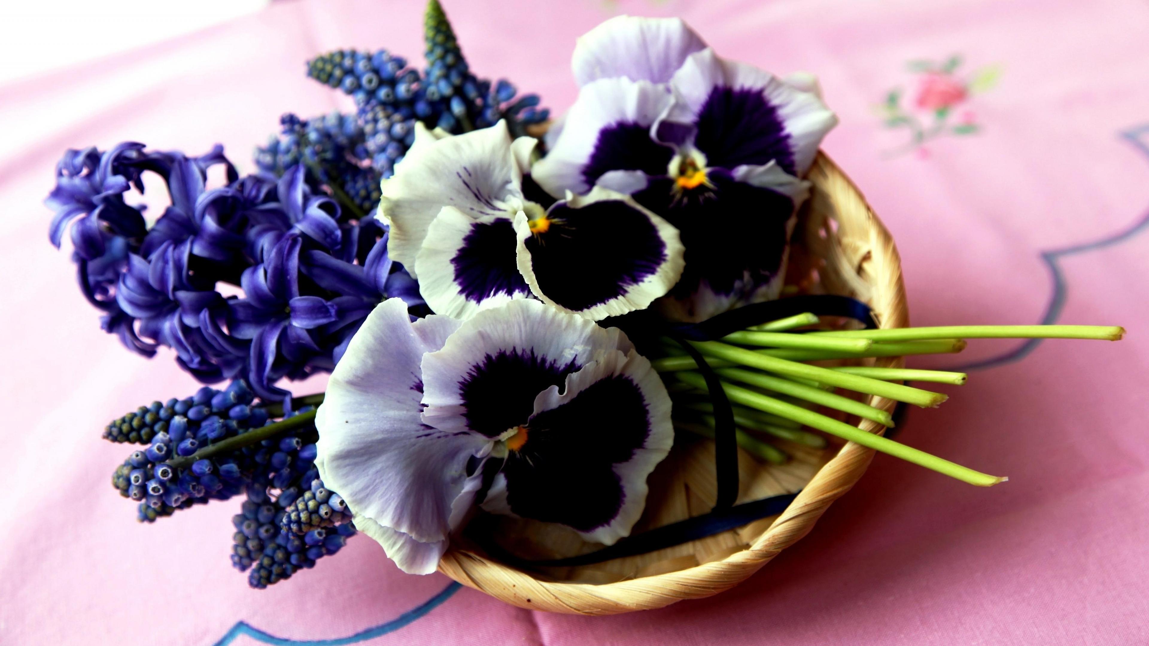 737059 скачать картинку фиолетовый цветок, гиацинт, анютины глазки, сделано человеком, цветок, мускари - обои и заставки бесплатно