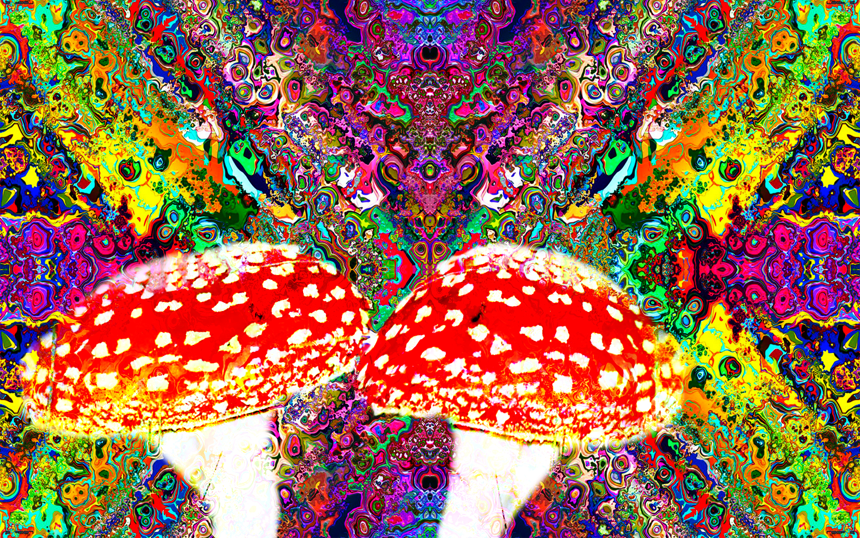 Download mobile wallpaper Colors, Mushroom, Colorful, Artistic, Psychedelic for free.